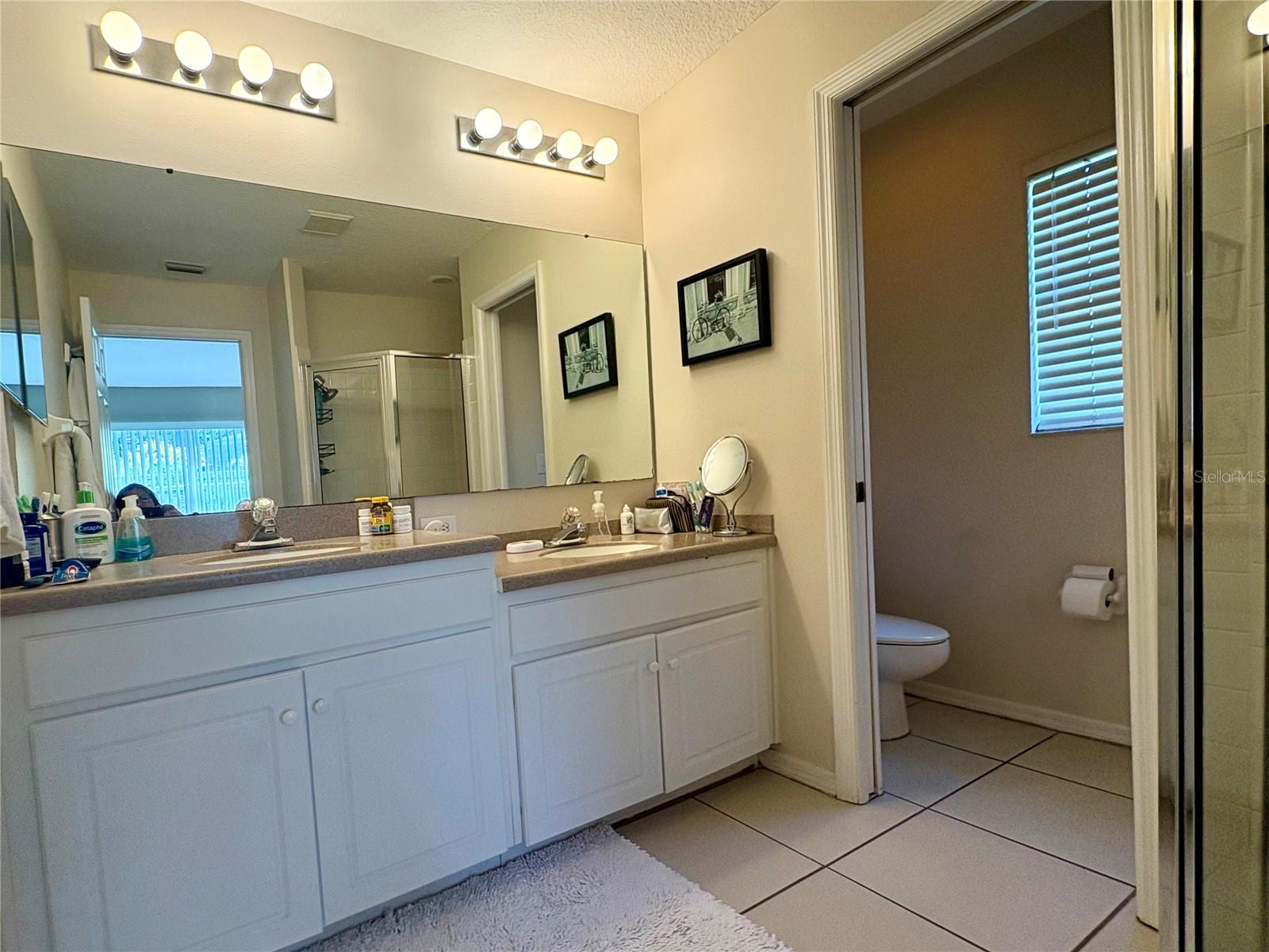 17744 ESPRIT DR, TAMPA, FL, 33647