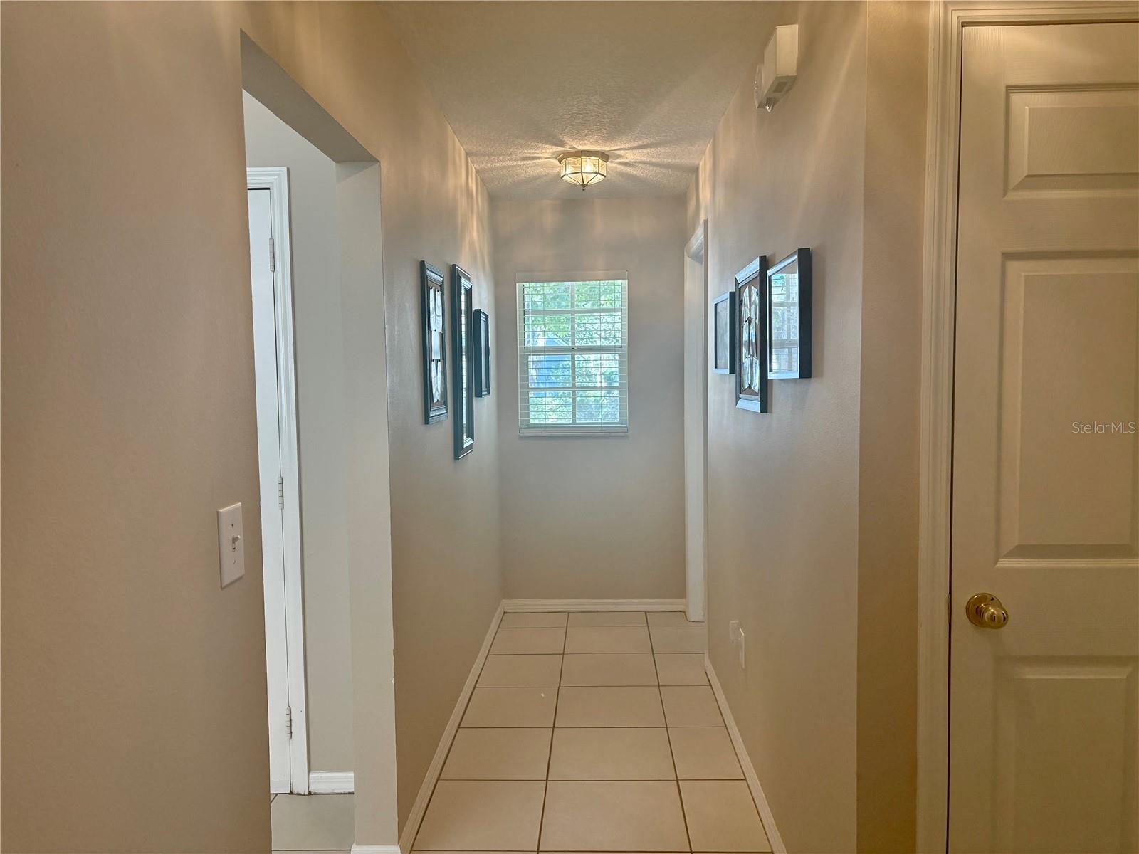 17744 ESPRIT DR, TAMPA, FL, 33647