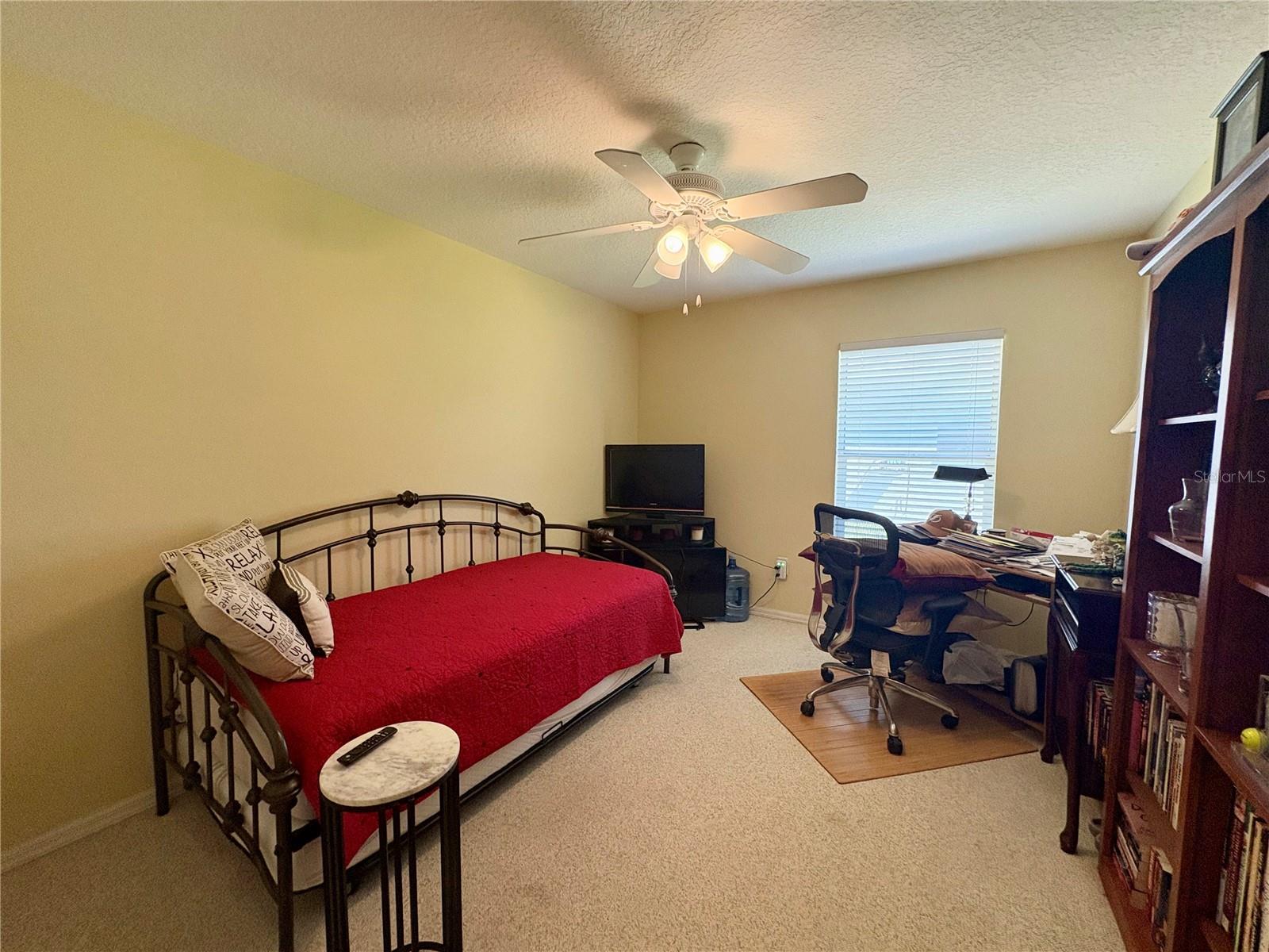 17744 ESPRIT DR, TAMPA, FL, 33647