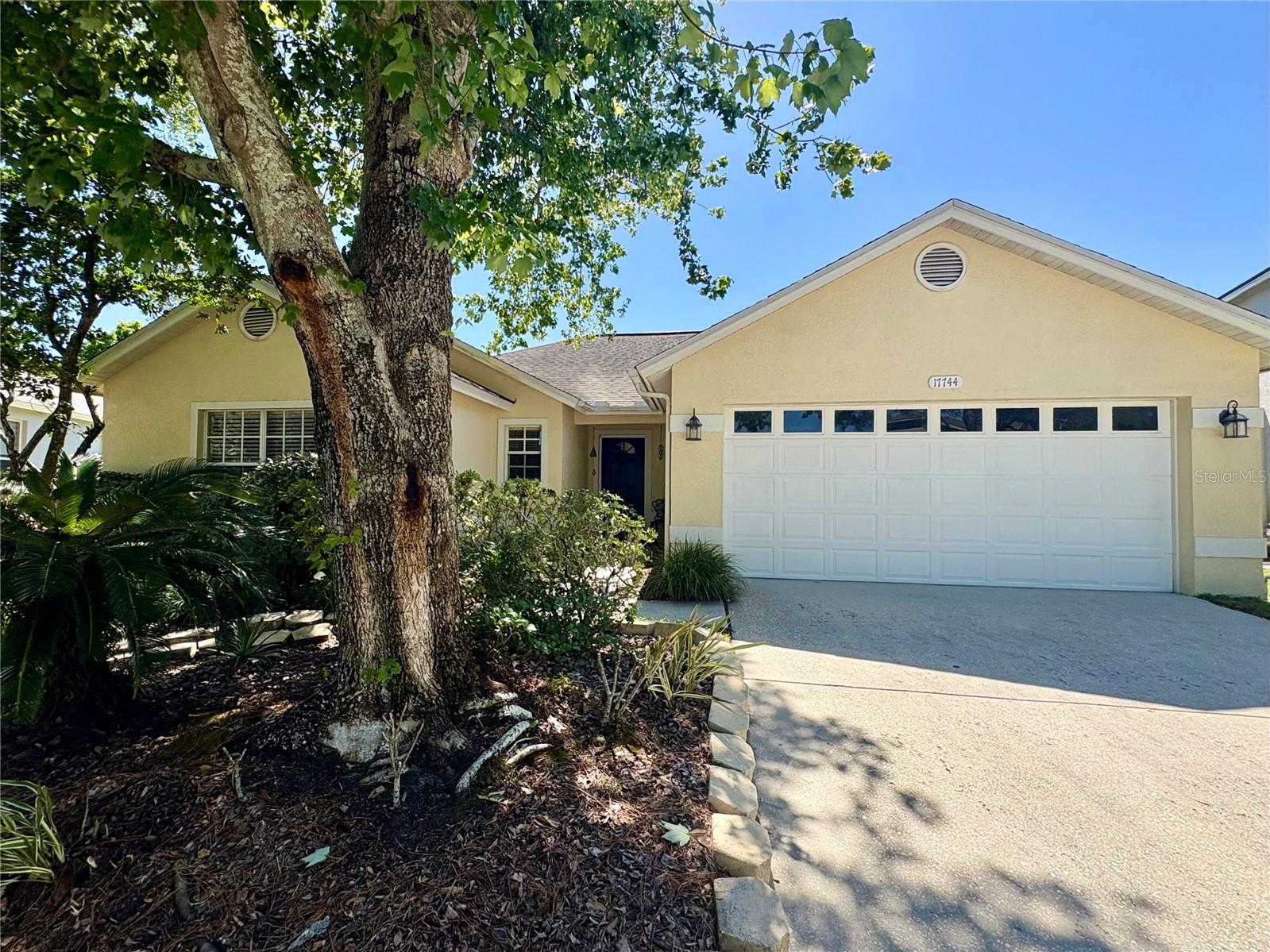 17744 ESPRIT DR, TAMPA, FL, 33647