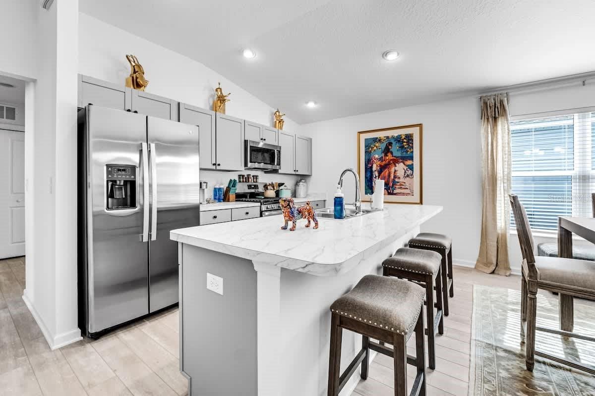 699 JOSEPH WAY, THE VILLAGES, FL, 34762