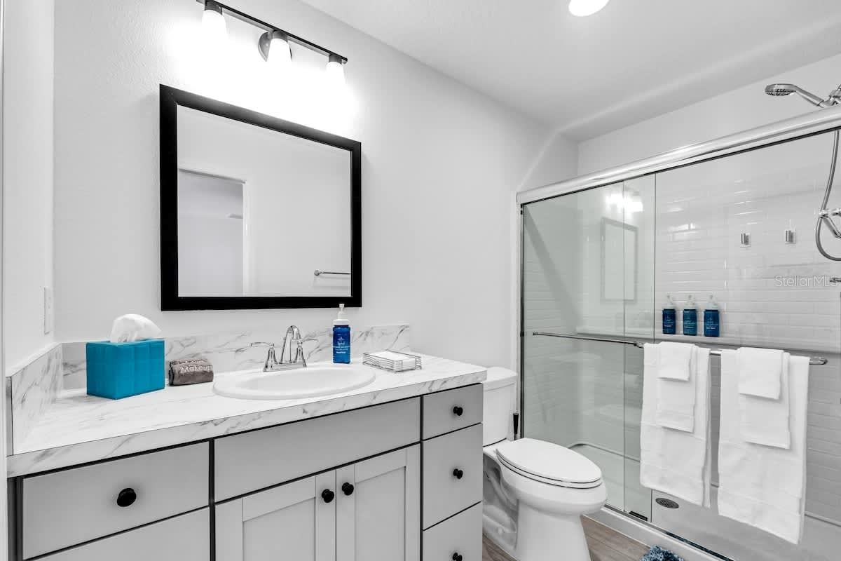 699 JOSEPH WAY, THE VILLAGES, FL, 34762