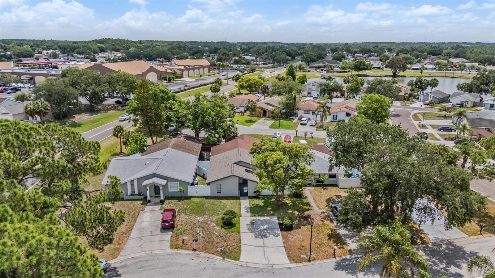 11005 UNDERWOOD PL, TAMPA, FL, 33624
