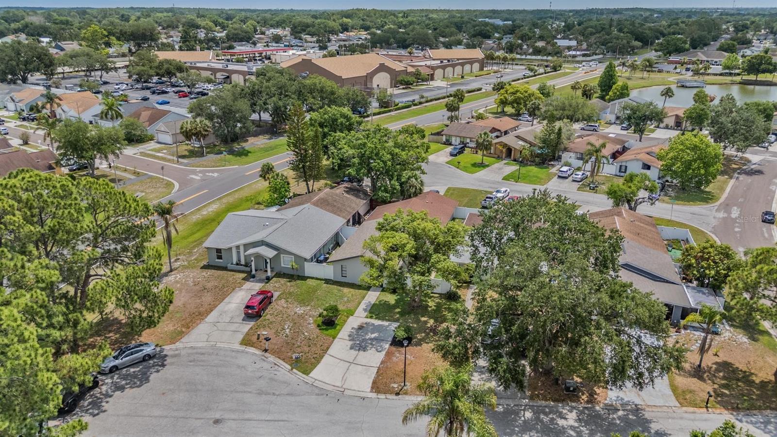 11005 UNDERWOOD PL, TAMPA, FL, 33624