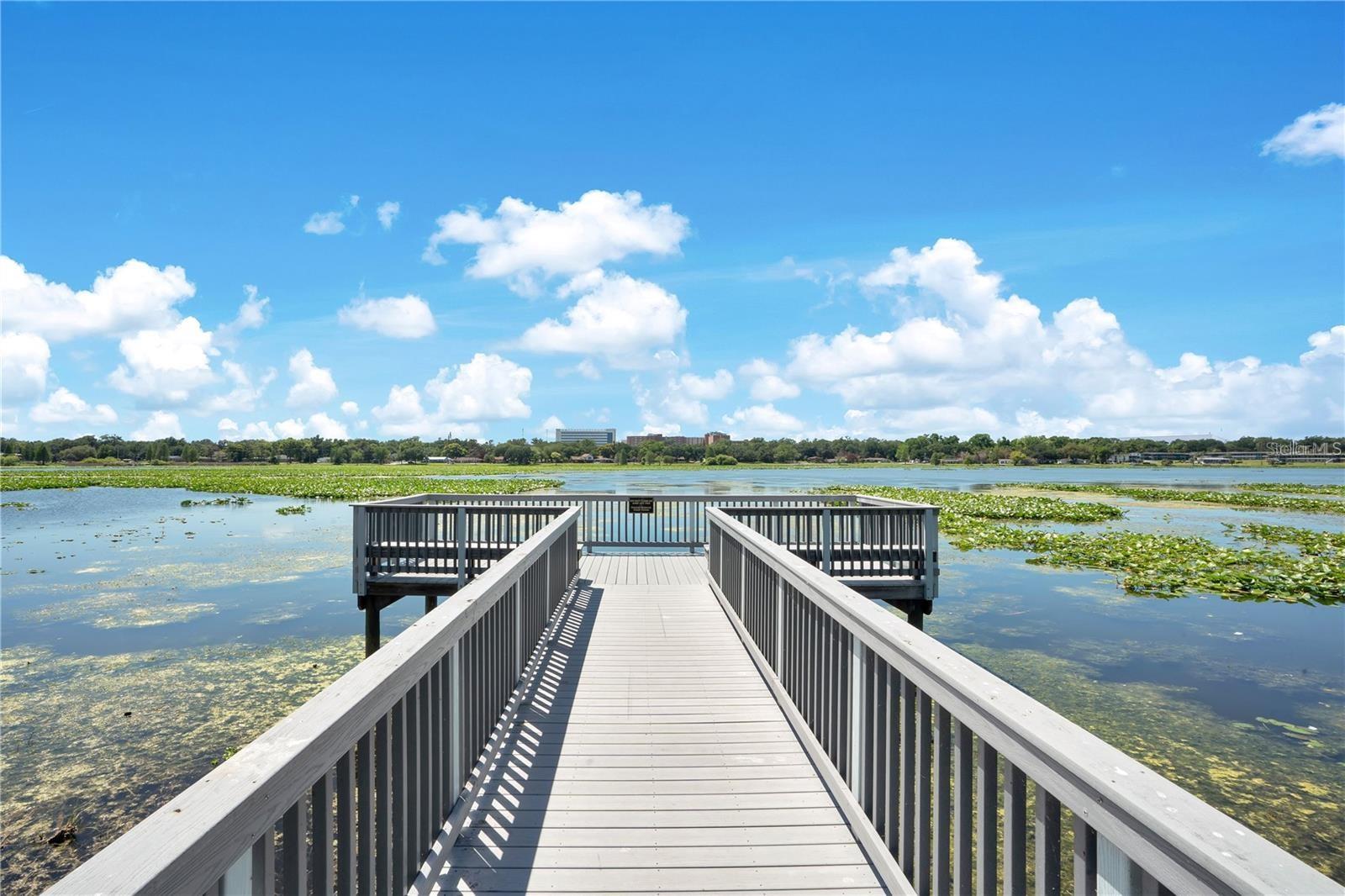 1389 HERITAGE LANDINGS DR, LAKELAND, FL, 33805