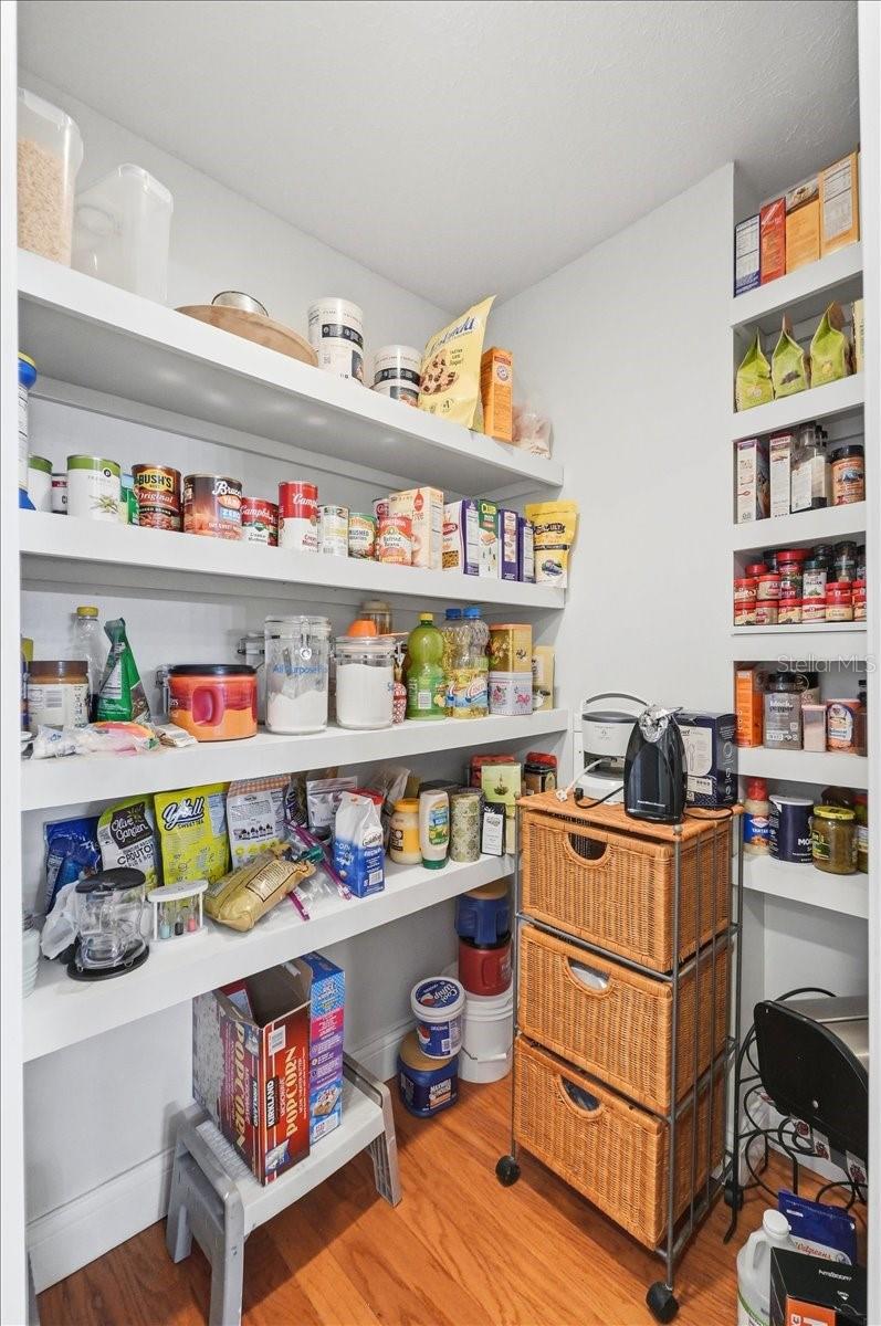 2910 FRITZKE RD, DOVER, FL, 33527