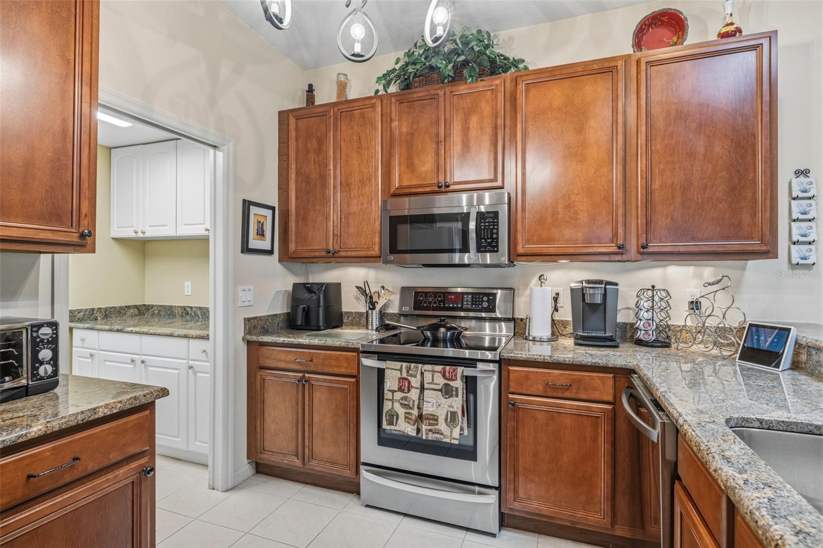 10334 COLLAR DR, SAN ANTONIO, FL, 33576