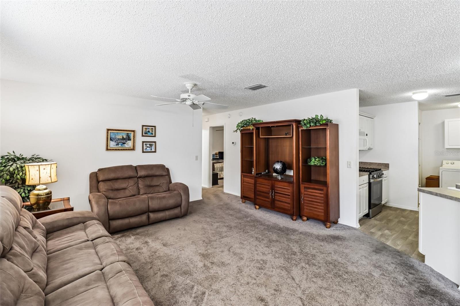 2019 THURMOND AVE, THE VILLAGES, FL, 32162