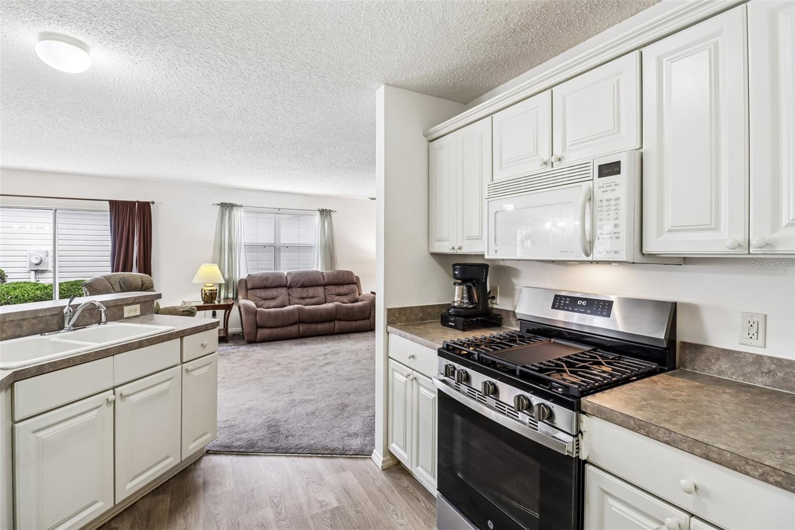 2019 THURMOND AVE, THE VILLAGES, FL, 32162