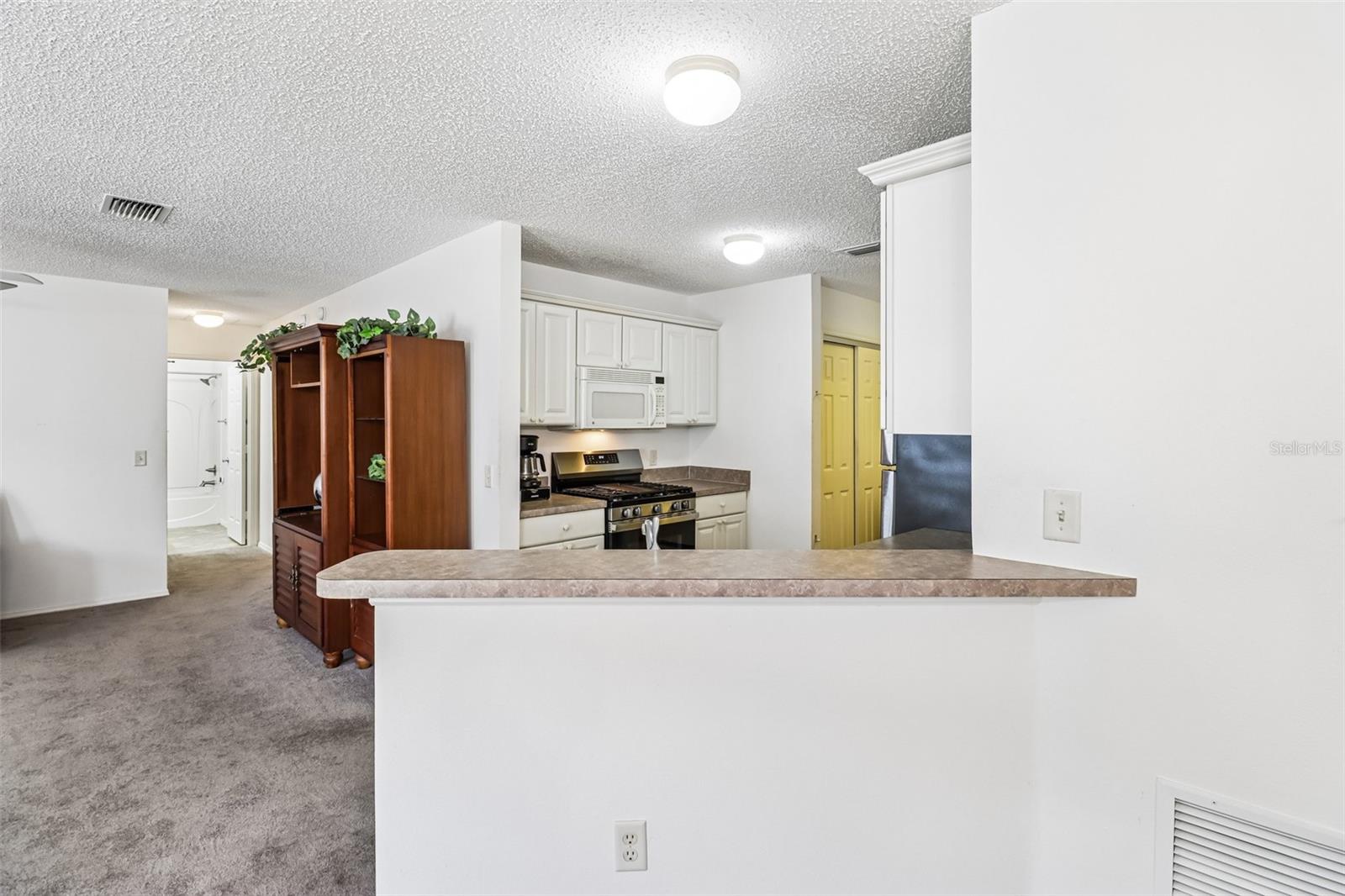 2019 THURMOND AVE, THE VILLAGES, FL, 32162