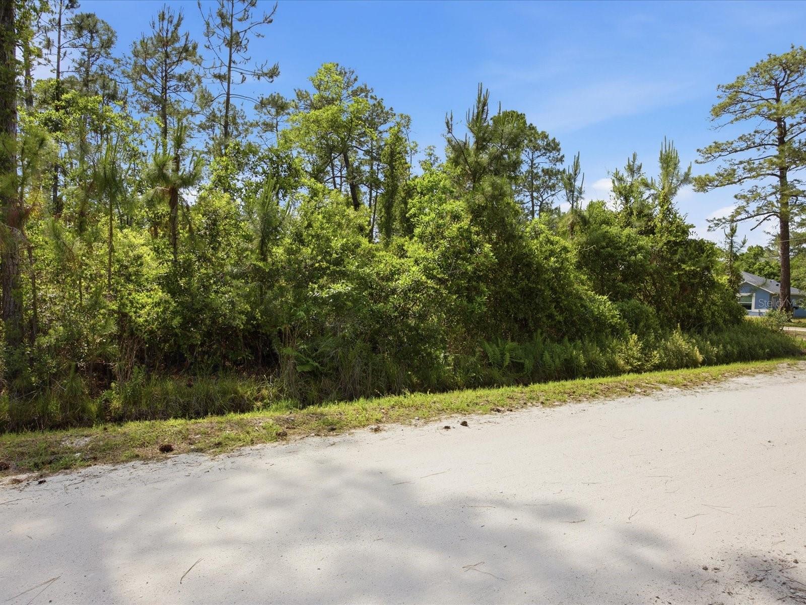 1490 10TH AVE, DELAND, FL, 32724