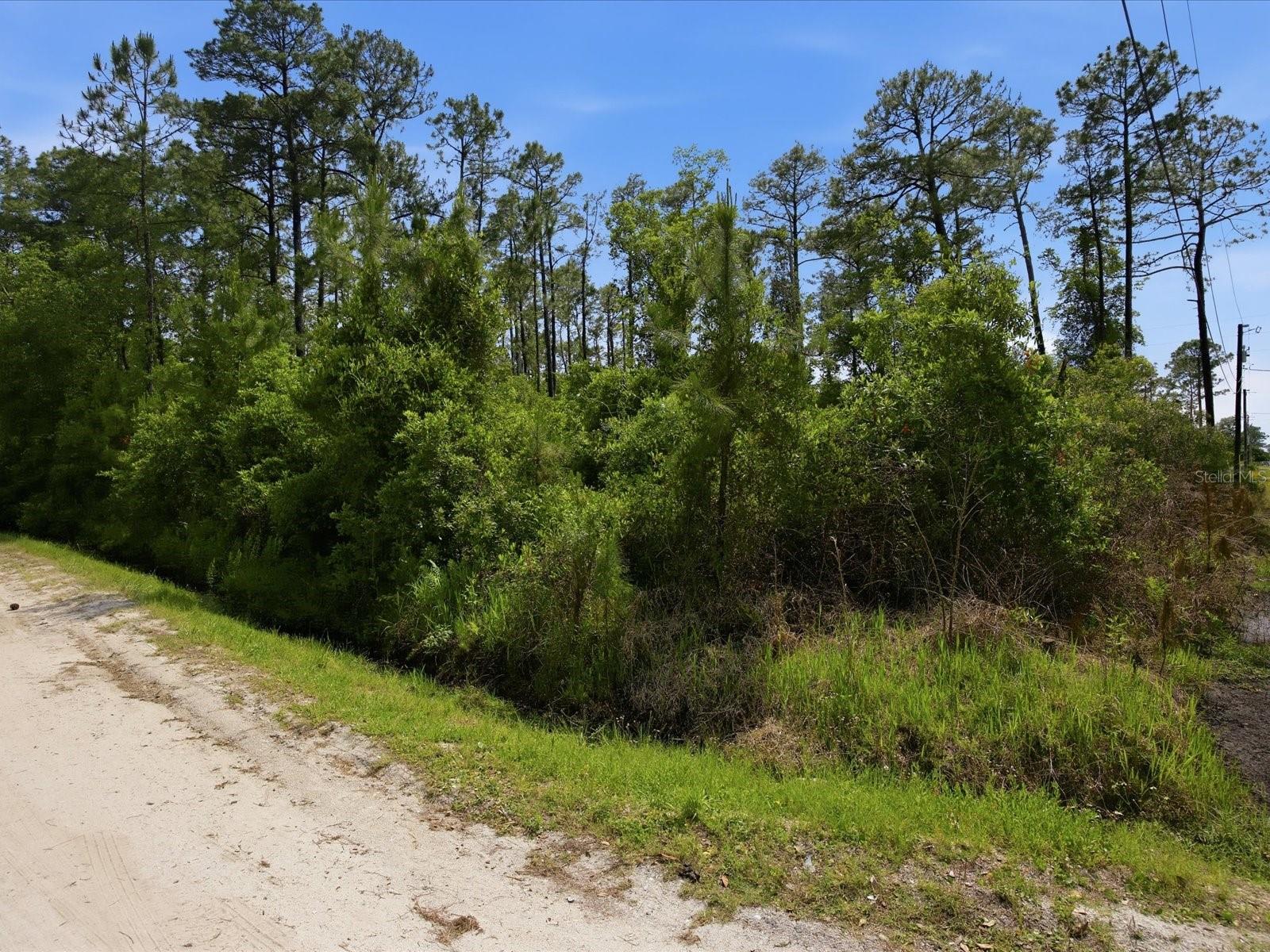 1490 10TH AVE, DELAND, FL, 32724