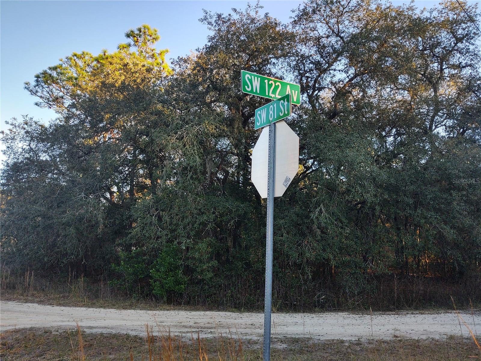 TBD SW 81ST ST SW, DUNNELLON, FL, 34432