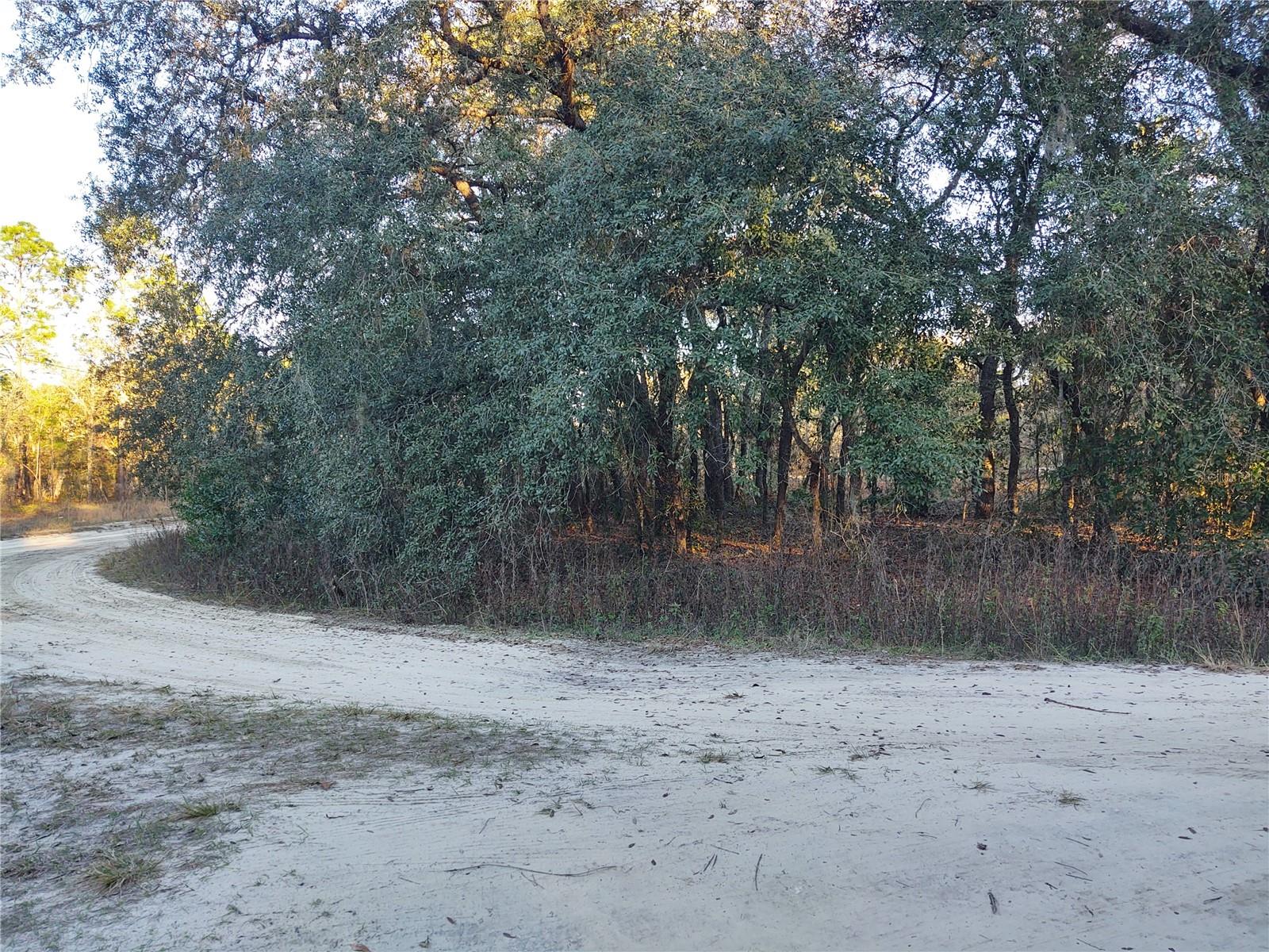 TBD SW 81ST ST SW, DUNNELLON, FL, 34432
