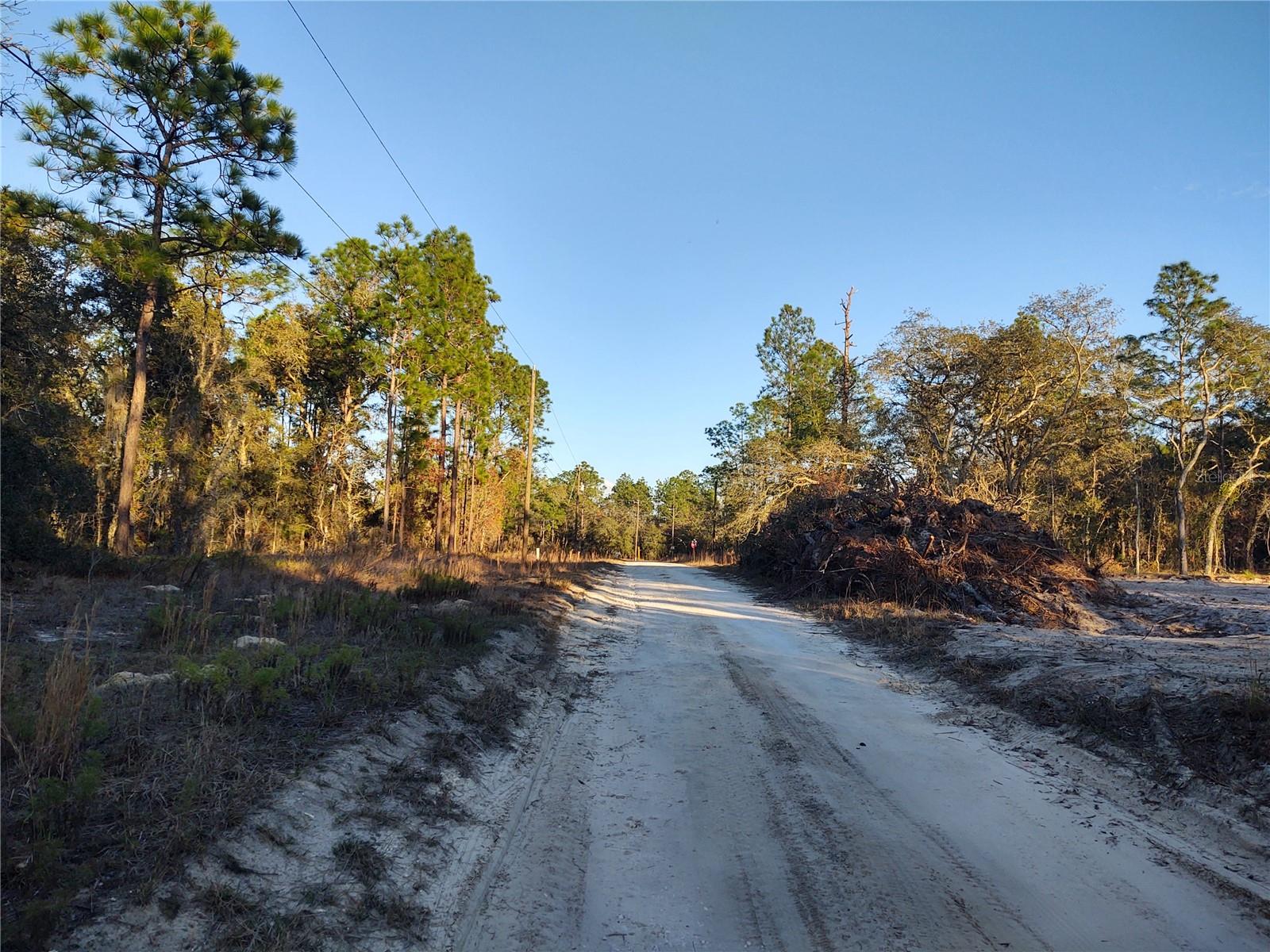 TBD SW 81ST ST SW, DUNNELLON, FL, 34432