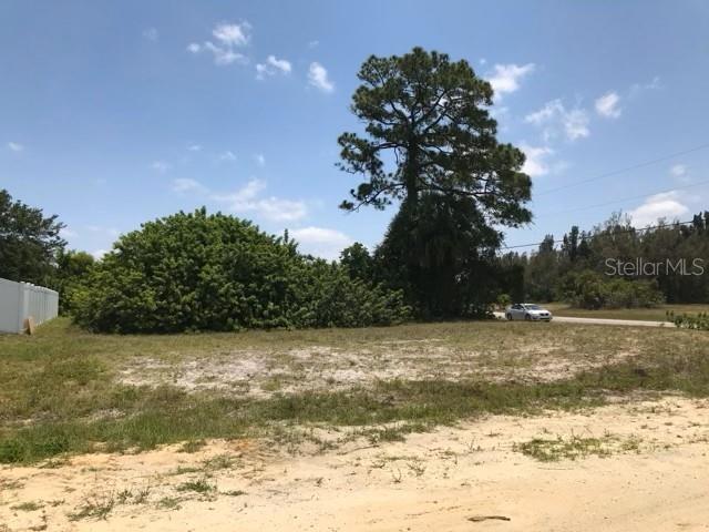 215 SW 9TH PL, CAPE CORAL, FL, 33991