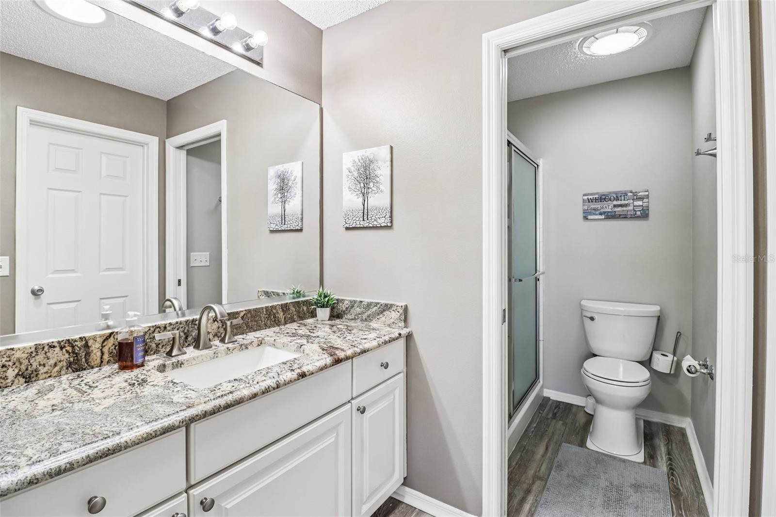 2561 BIRCH AVE, THE VILLAGES, FL, 32162