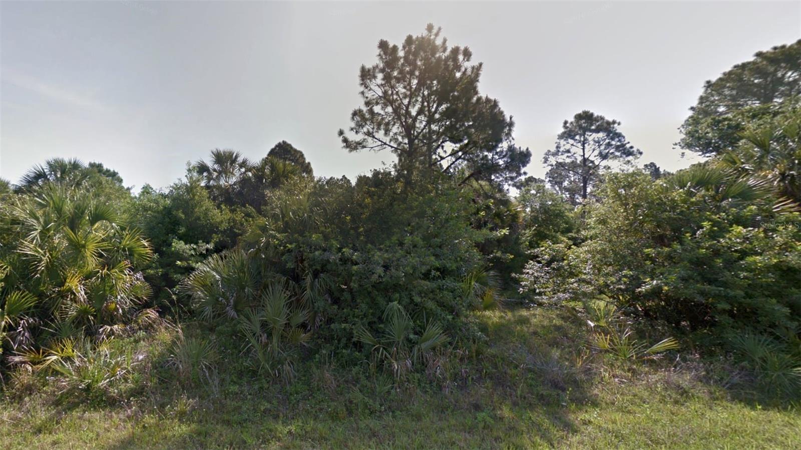BIGFLOWER AVE, NORTH PORT, FL, 34288