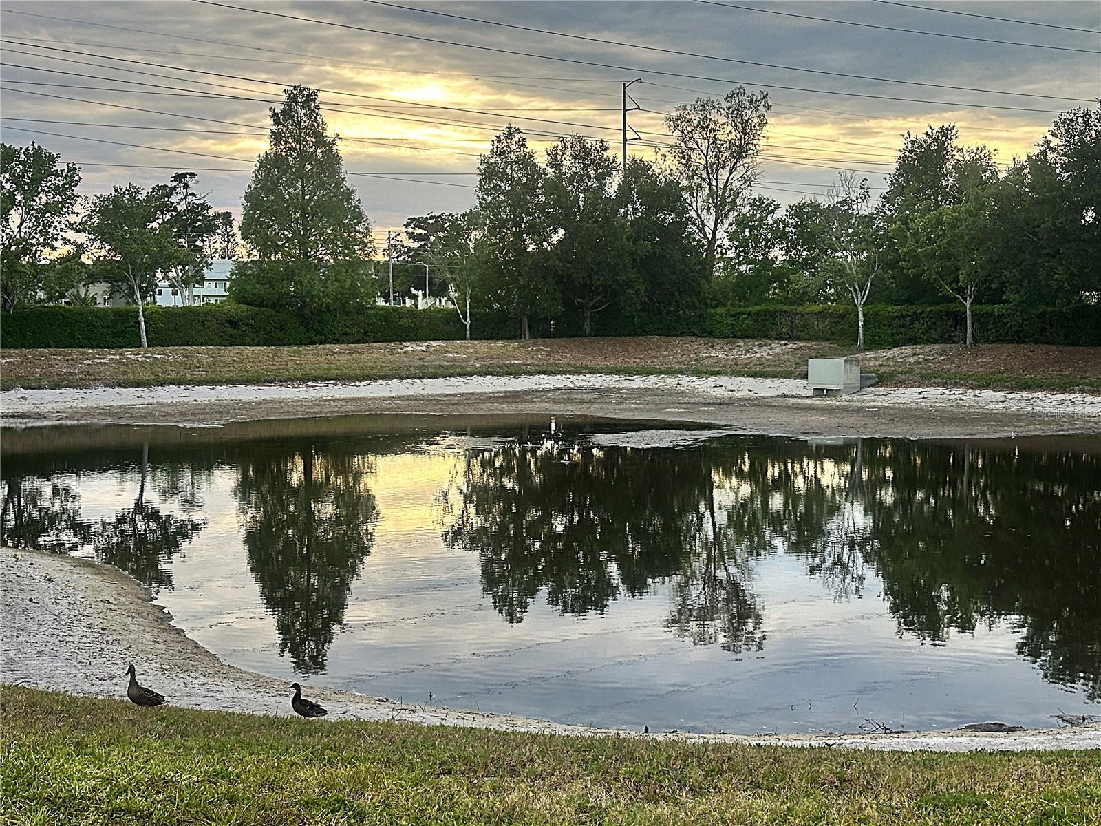 2048 SUN DOWN DR, CLEARWATER, FL, 33763