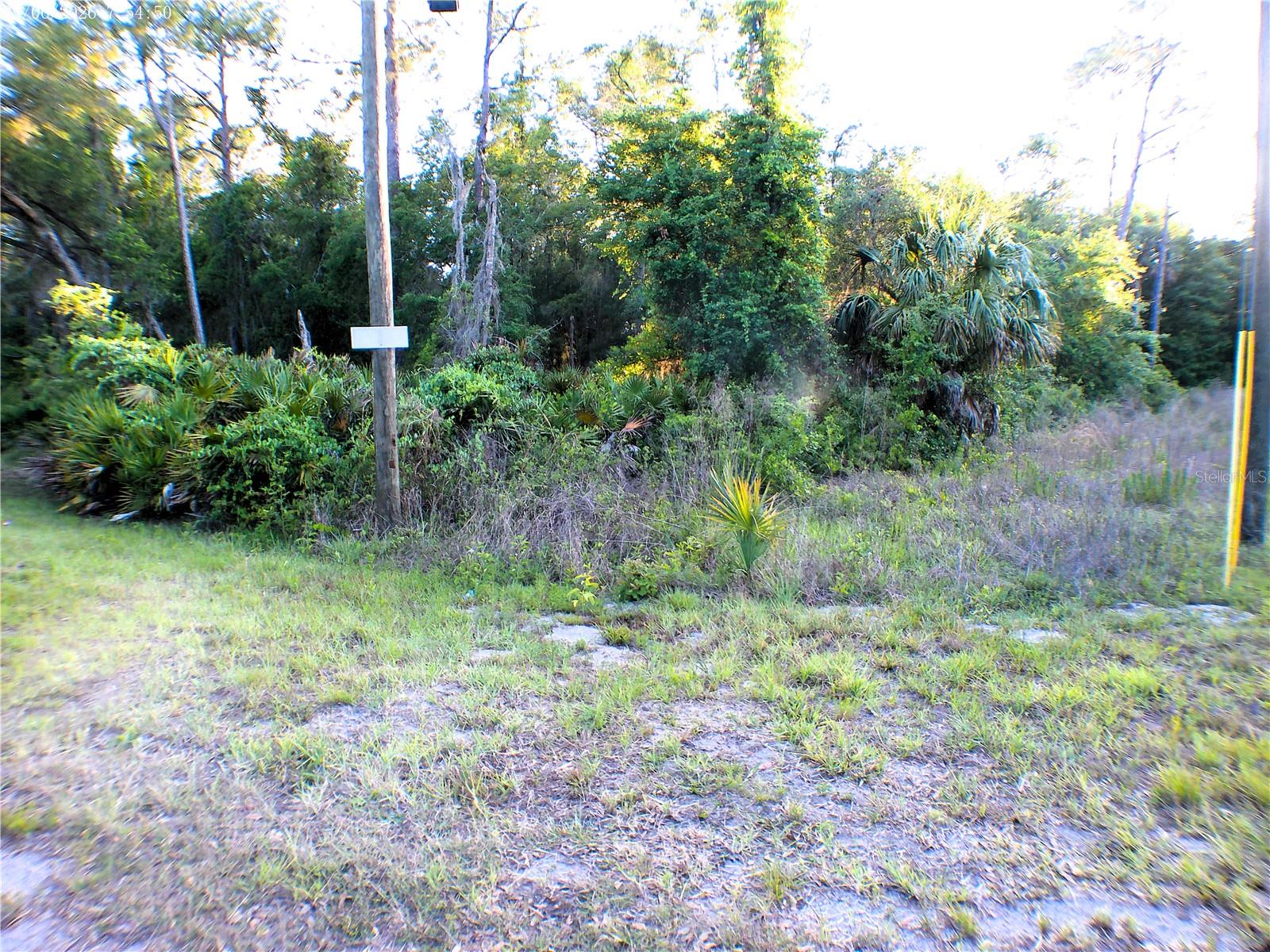 SEQUOIA DR, OCKLAWAHA, FL, 32179