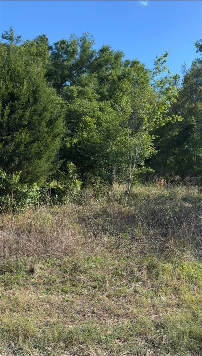 2405 WILSON ST ST, INVERNESS, FL, 34453