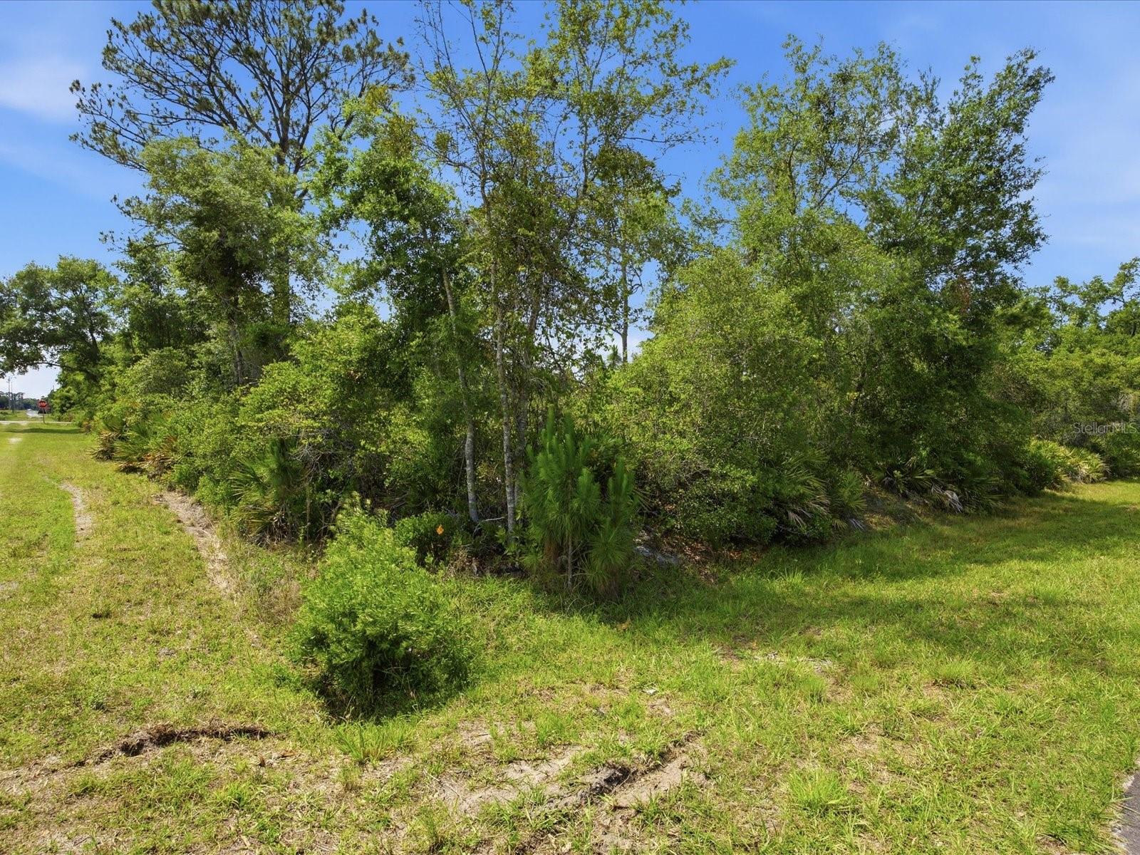 1704 7TH AVE, DELAND, FL, 32724