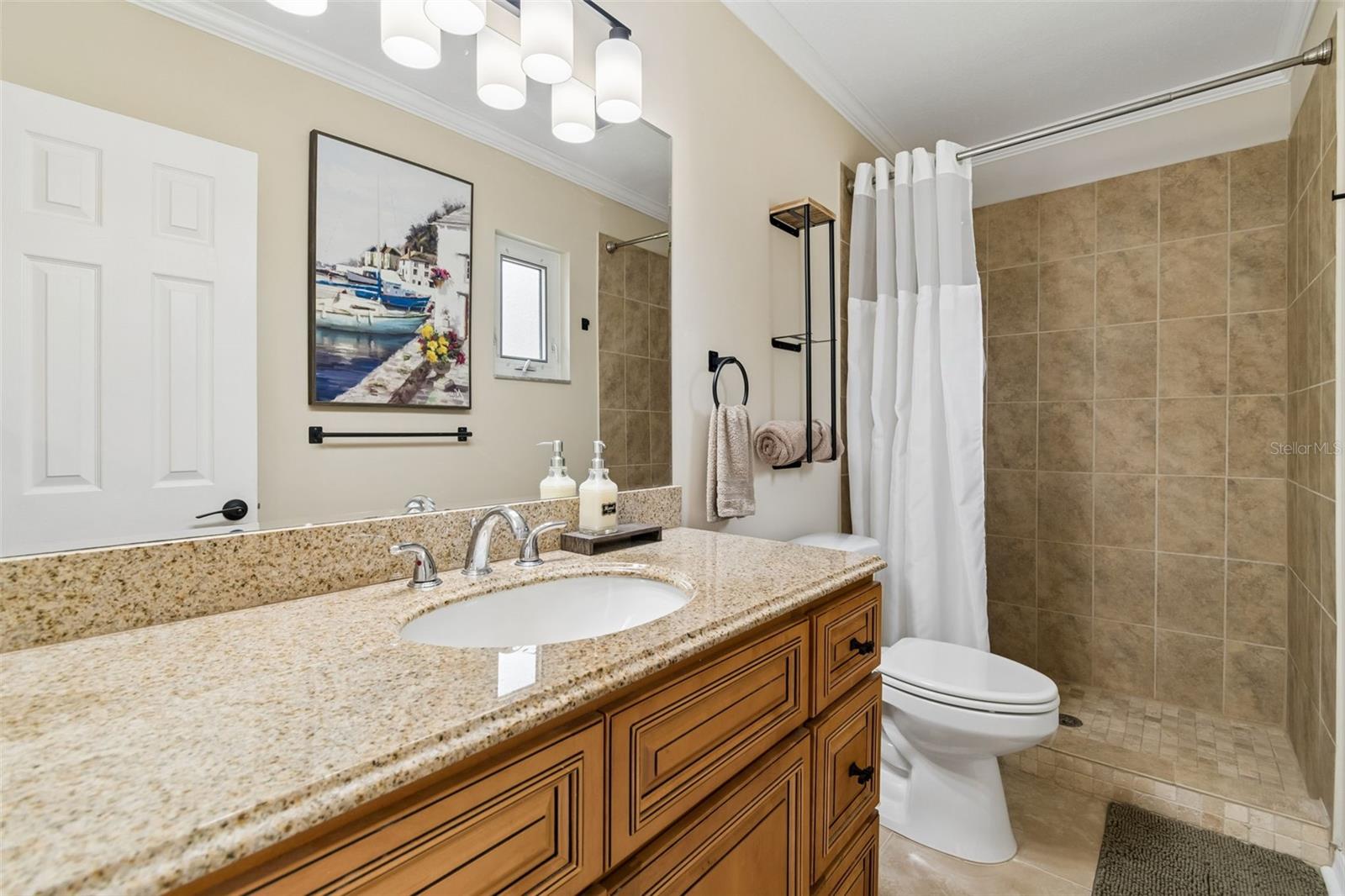 1005 HIGHGROVE CT, VALRICO, FL, 33596