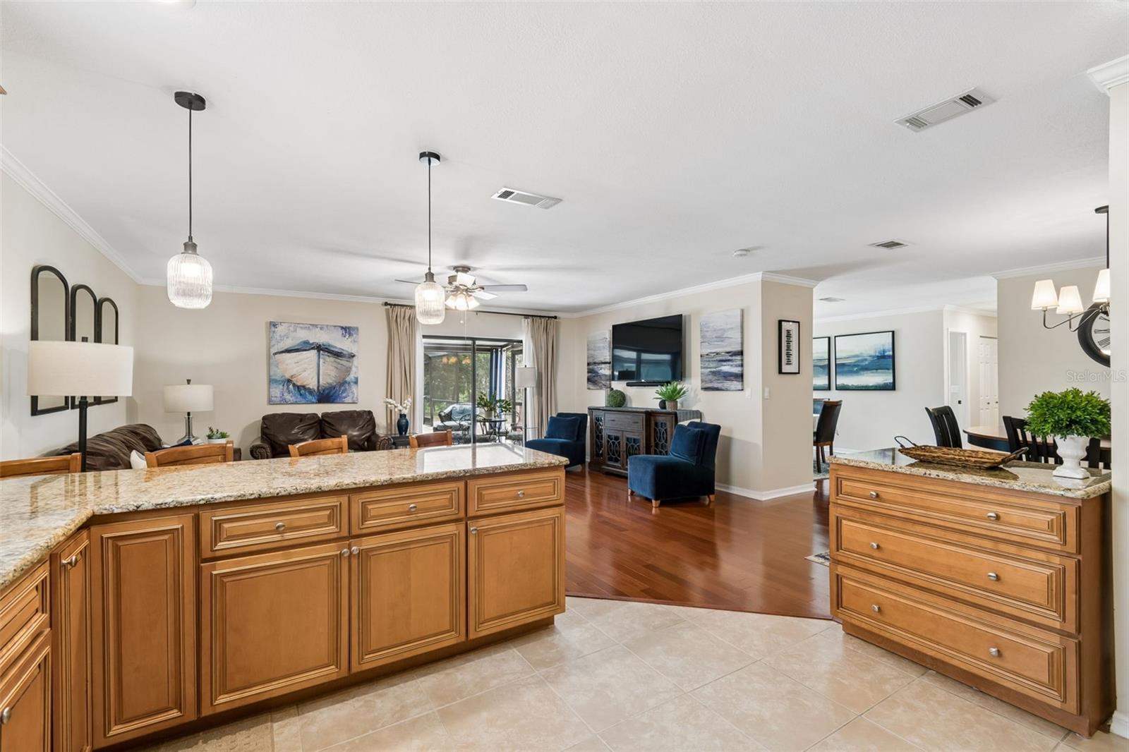 1005 HIGHGROVE CT, VALRICO, FL, 33596