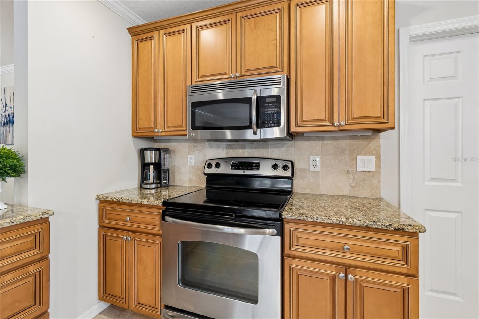 1005 HIGHGROVE CT, VALRICO, FL, 33596