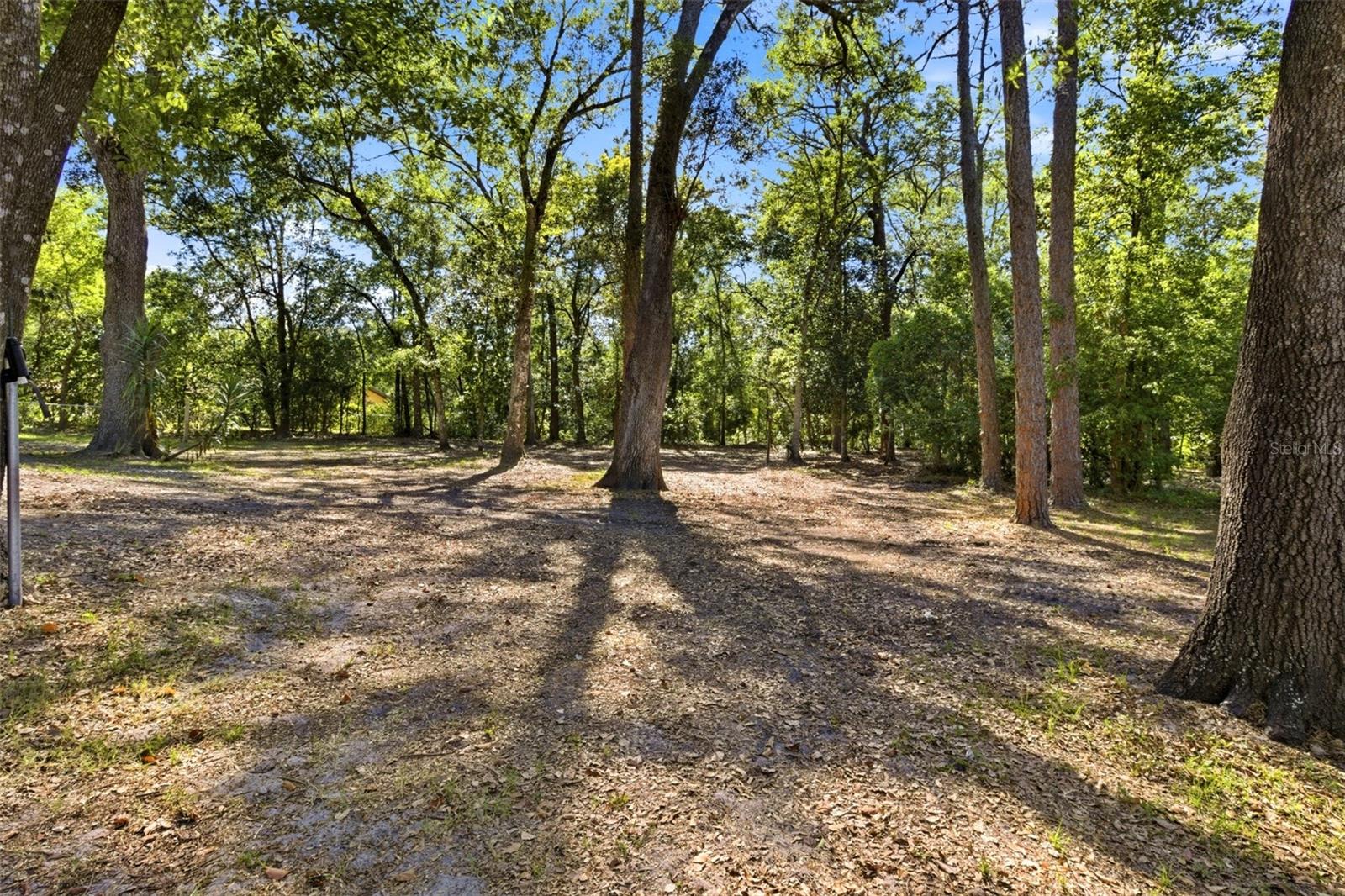 315 GARFIELD AVE, BROOKSVILLE, FL, 34604
