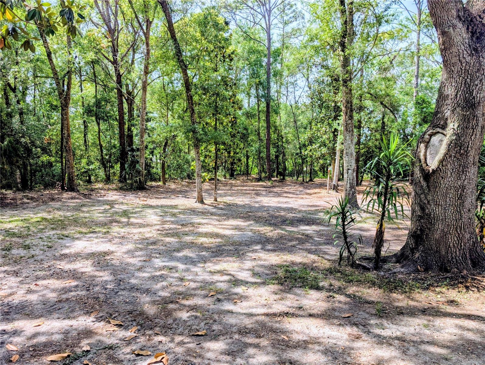 315 GARFIELD AVE, BROOKSVILLE, FL, 34604