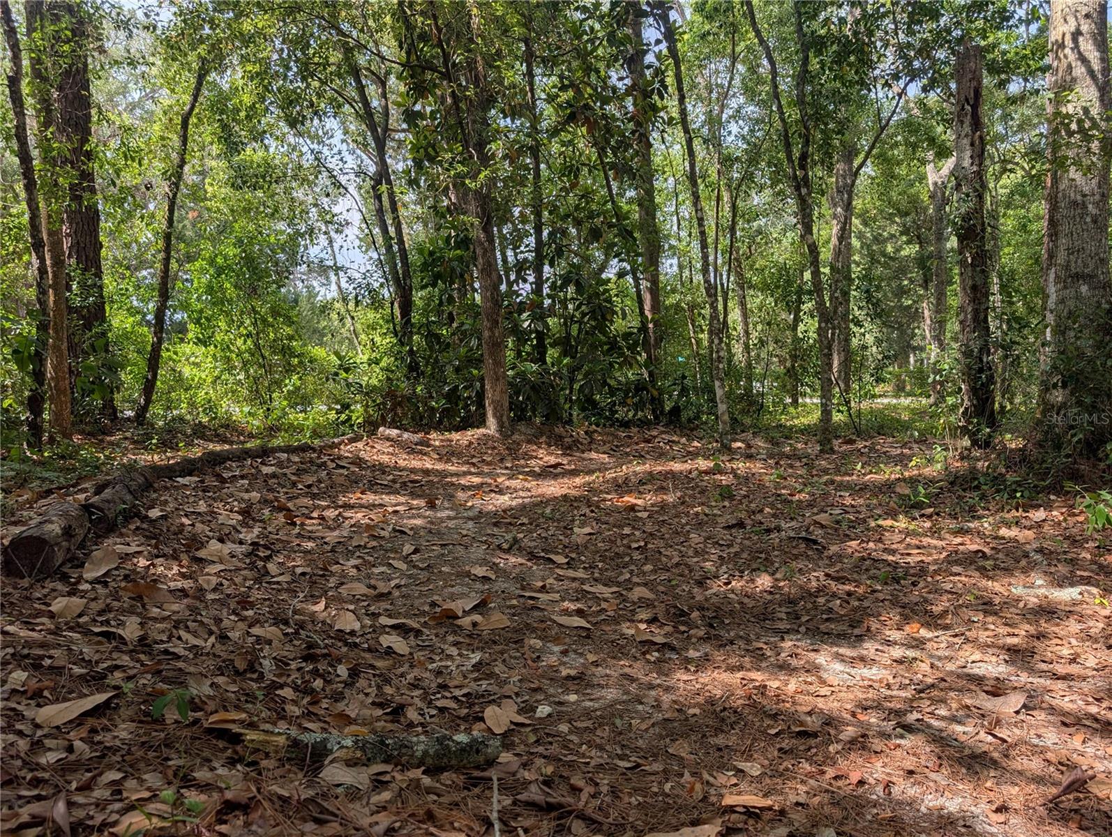 315 GARFIELD AVE, BROOKSVILLE, FL, 34604