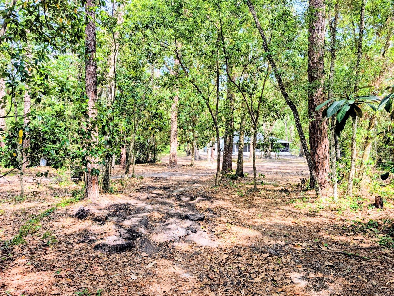 315 GARFIELD AVE, BROOKSVILLE, FL, 34604