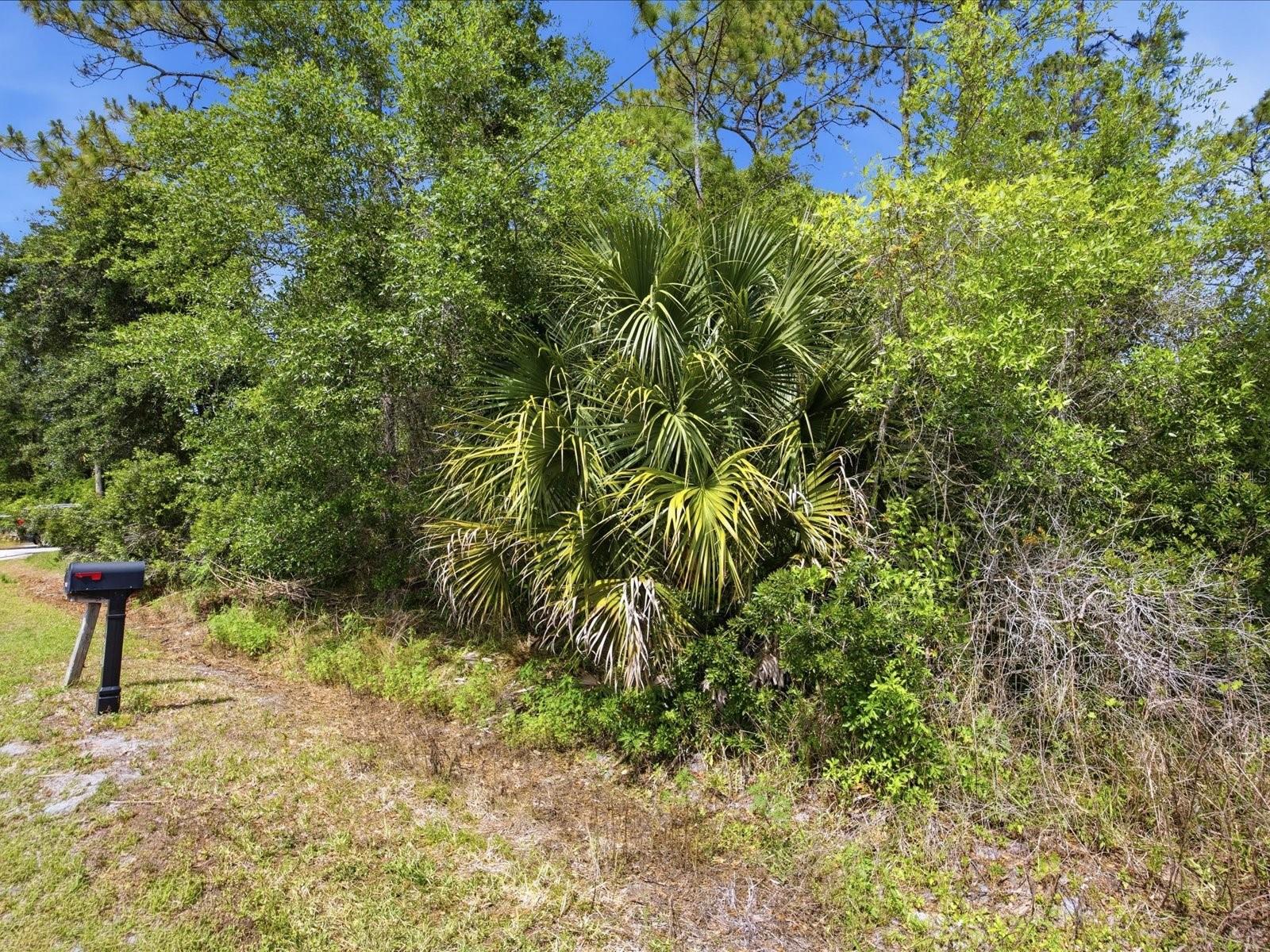 1935 7TH AVE, DELAND, FL, 32724