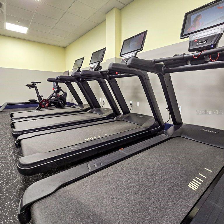 5500 GULF BLVD #7213, ST PETERSBURG, FL, 33706