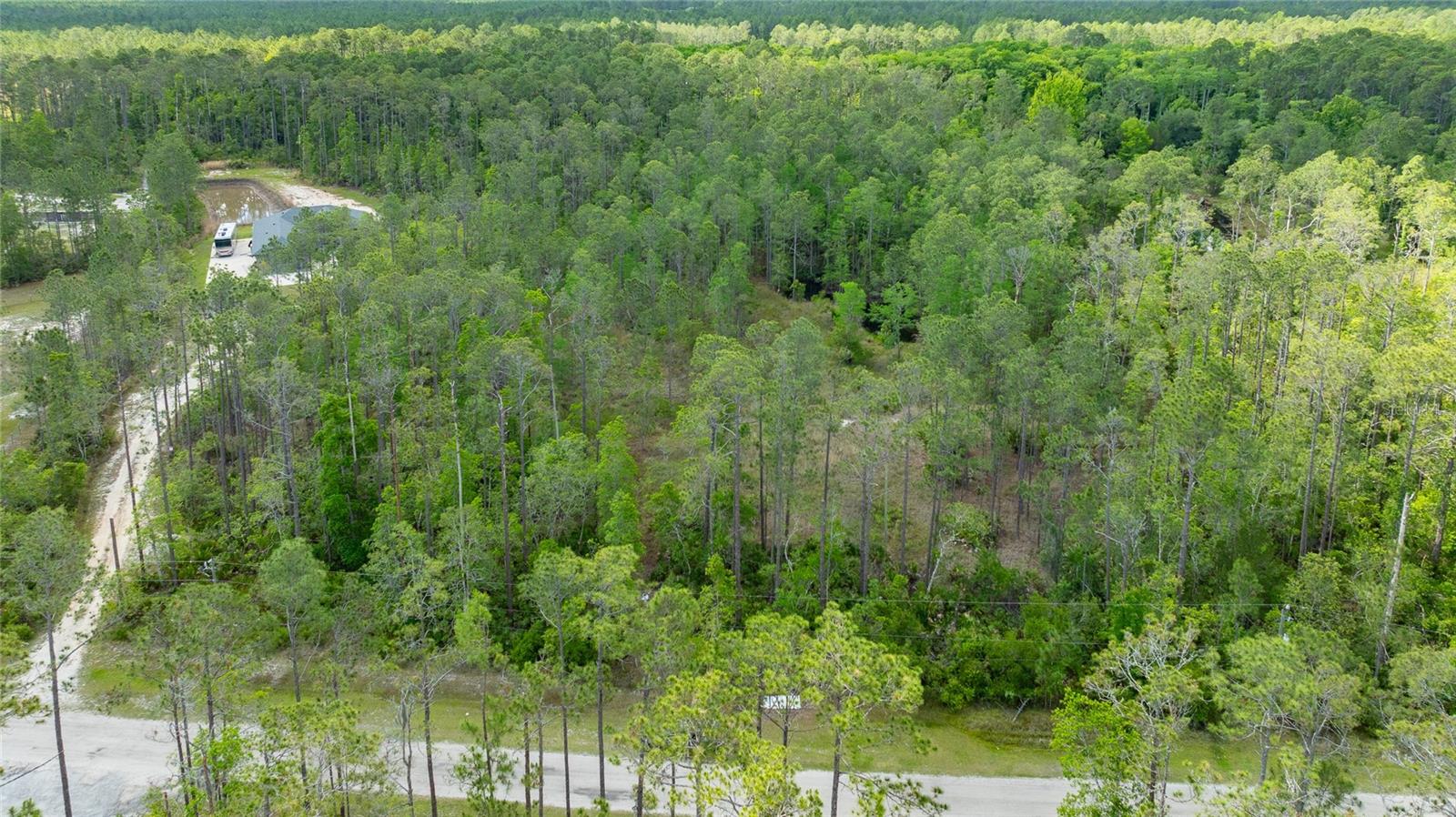3623 CONIFER LN, ORMOND BEACH, FL, 32174