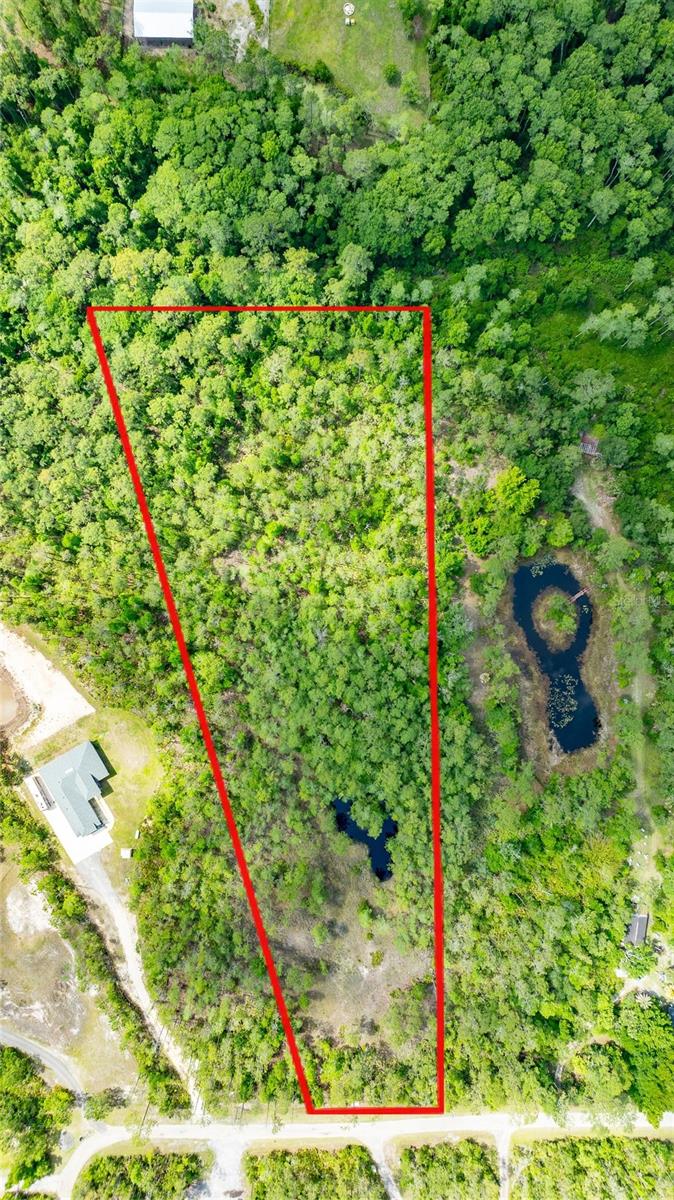 3623 CONIFER LN, ORMOND BEACH, FL, 32174