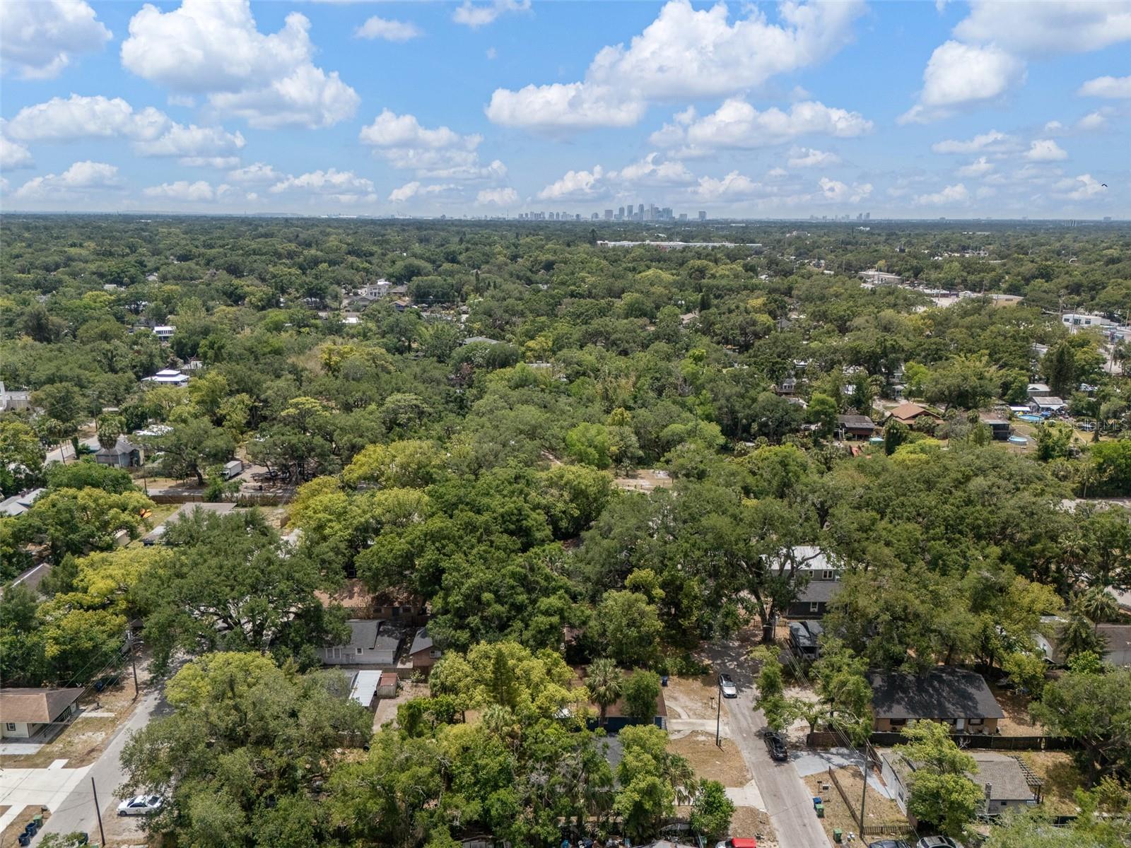 8013 N ALASKA ST, TAMPA, FL, 33604