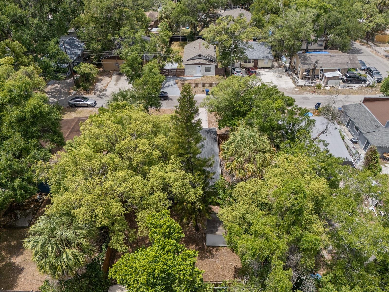 8013 N ALASKA ST, TAMPA, FL, 33604