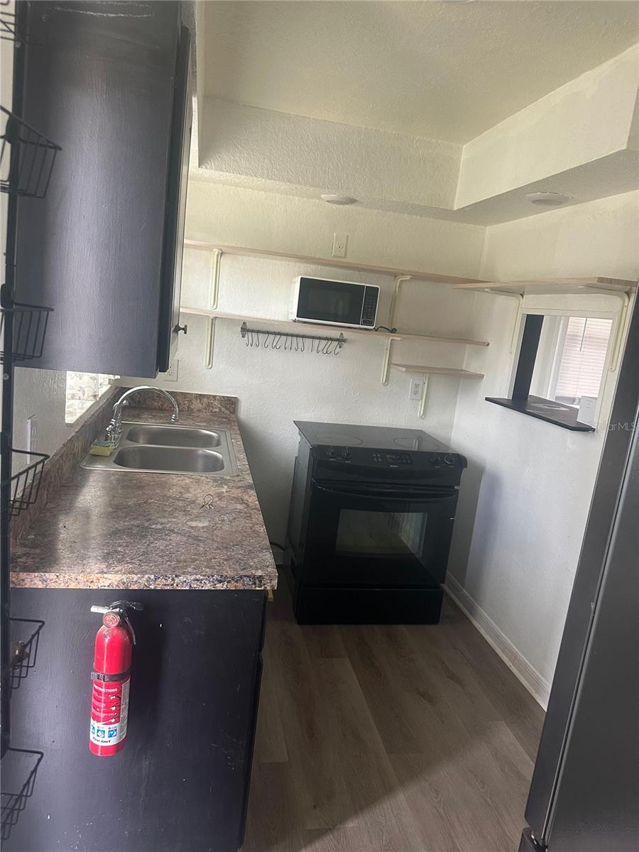 847 PARKWOOD AVE, GROVELAND, FL, 34736