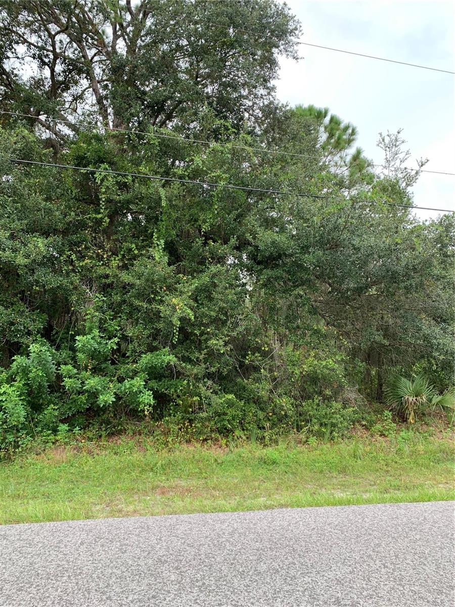 285 BERTHOUD ST, PORT CHARLOTTE, FL, 33953