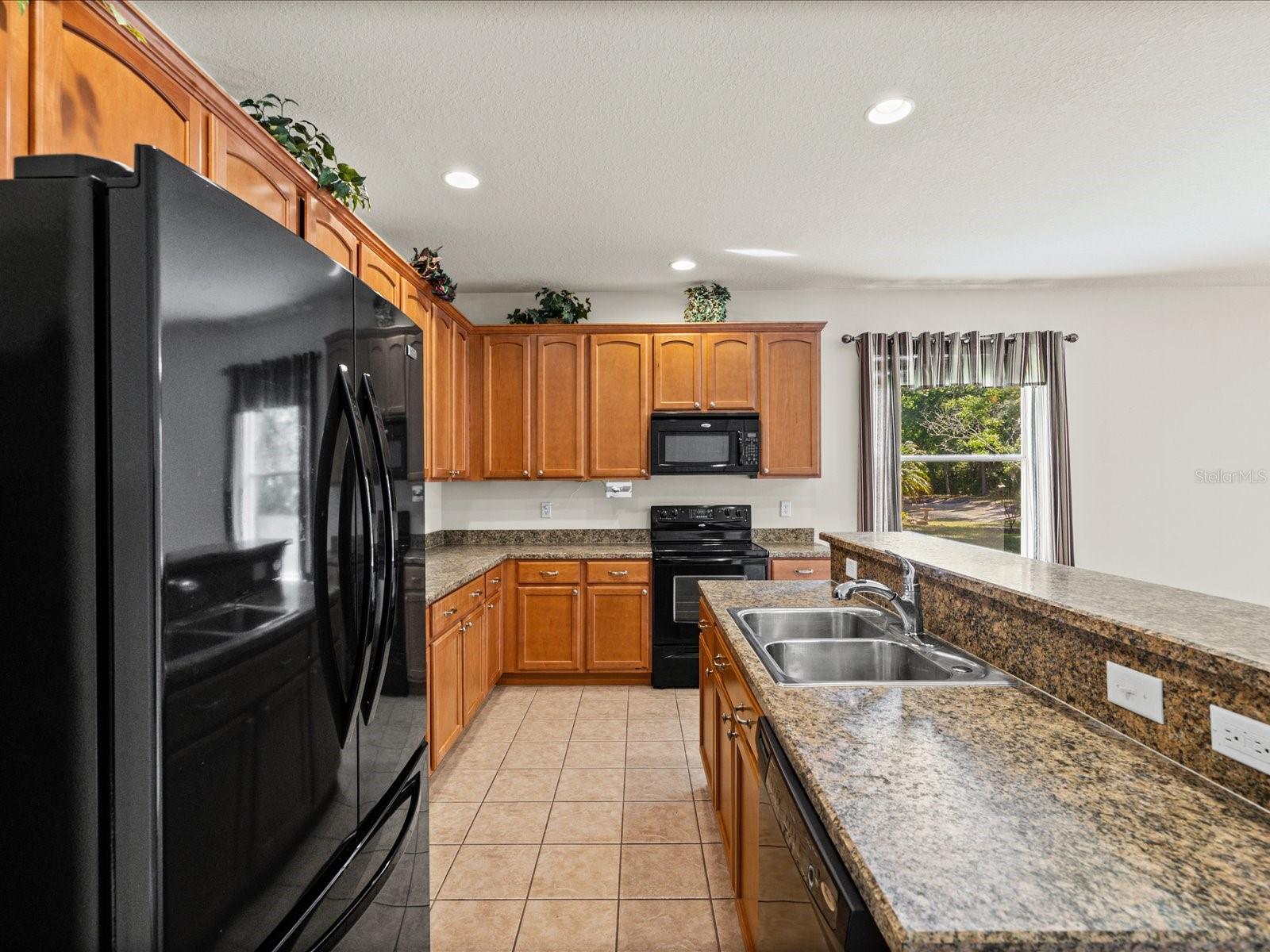 11448 MERGANSER WAY, NEW PORT RICHEY, FL, 34654