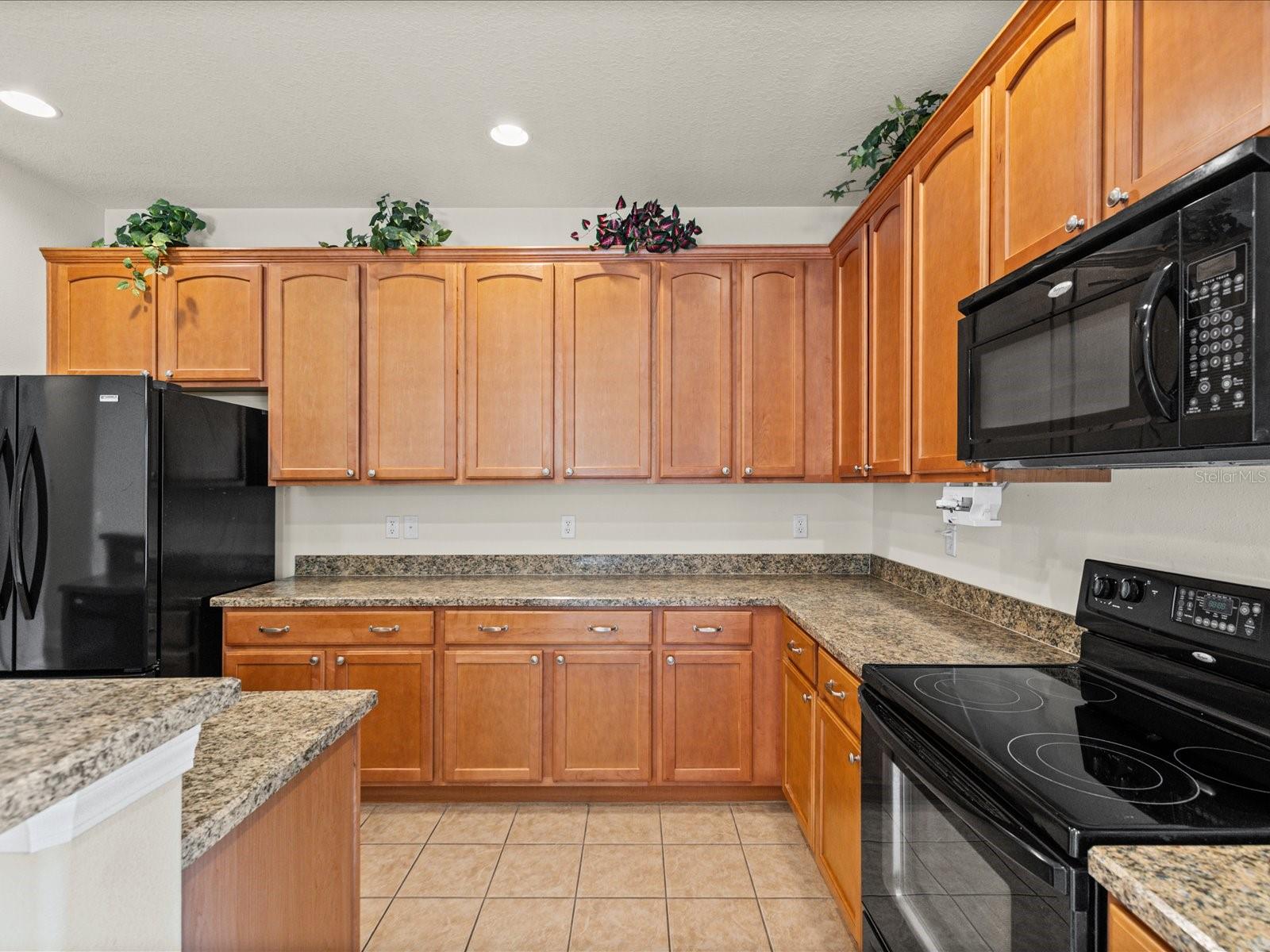 11448 MERGANSER WAY, NEW PORT RICHEY, FL, 34654