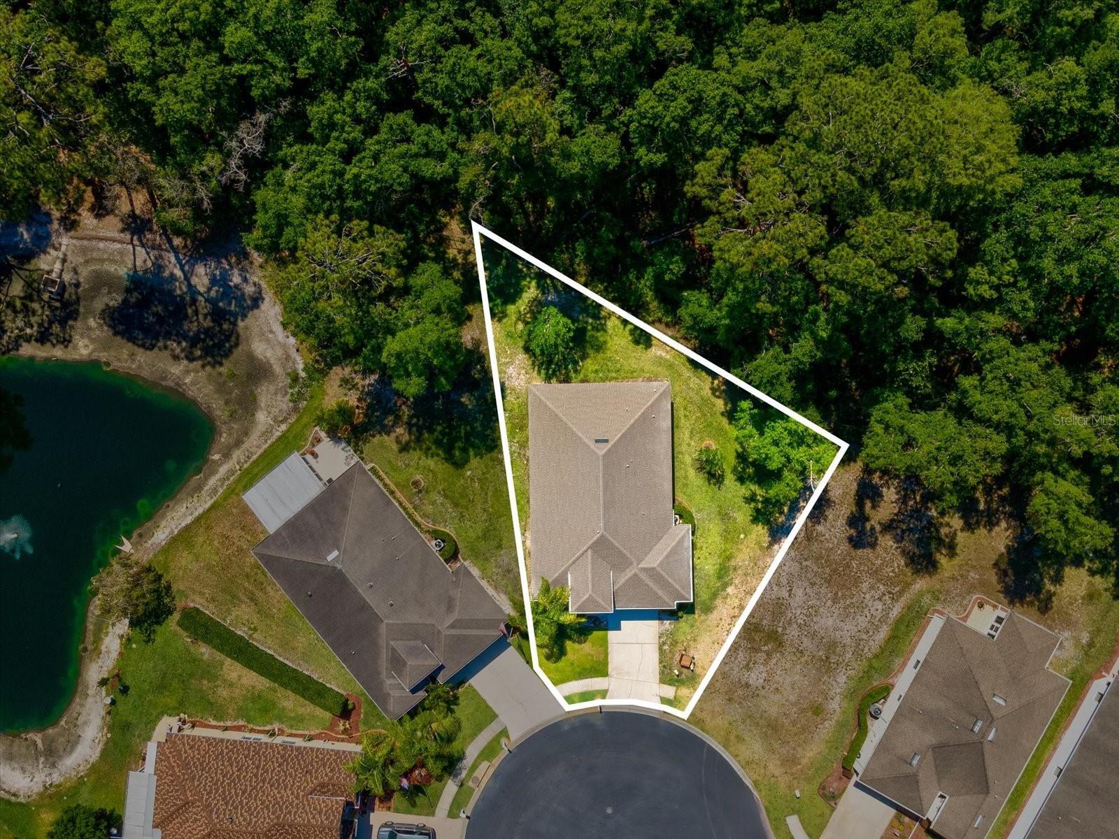 11448 MERGANSER WAY, NEW PORT RICHEY, FL, 34654