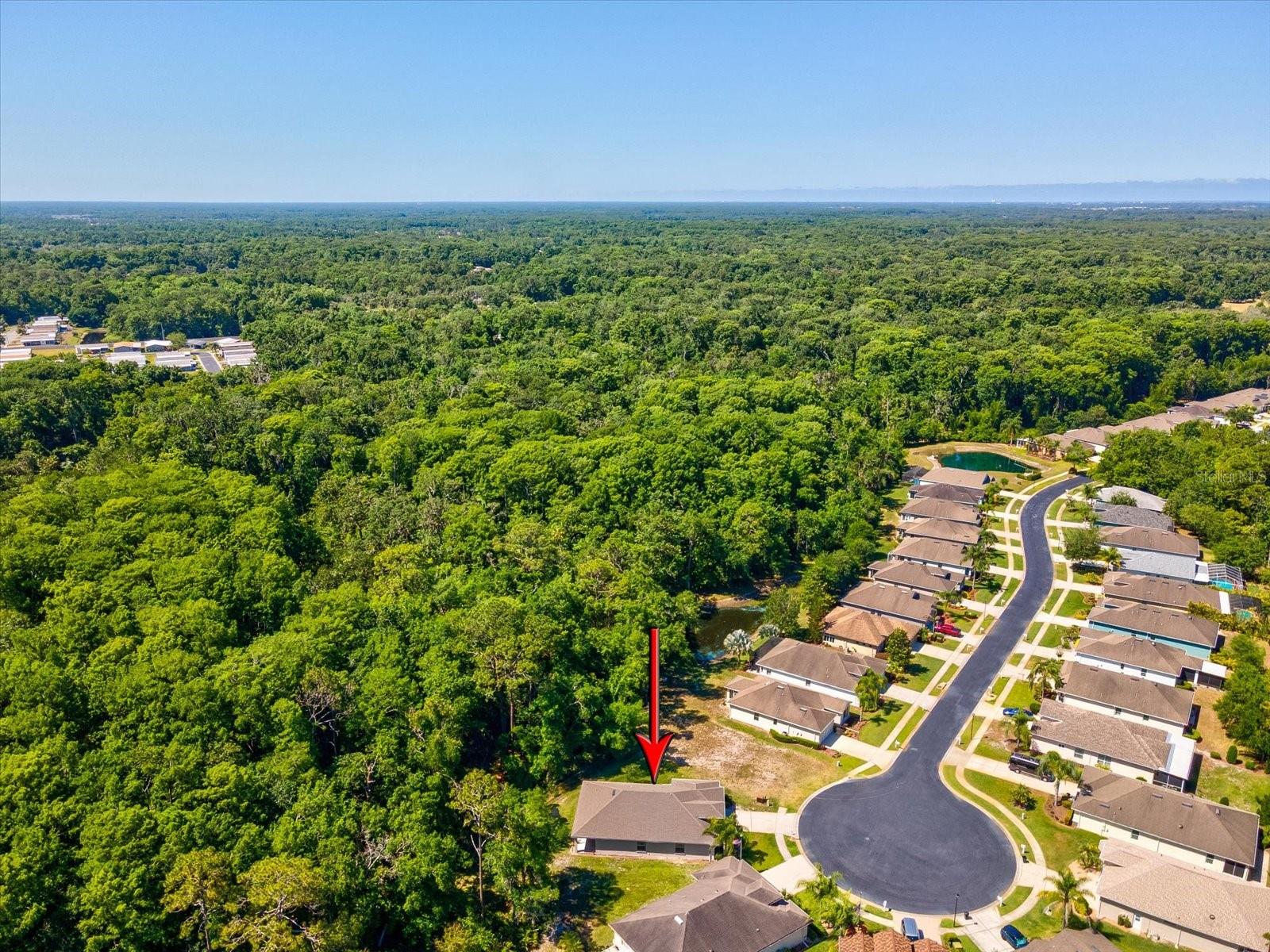 11448 MERGANSER WAY, NEW PORT RICHEY, FL, 34654