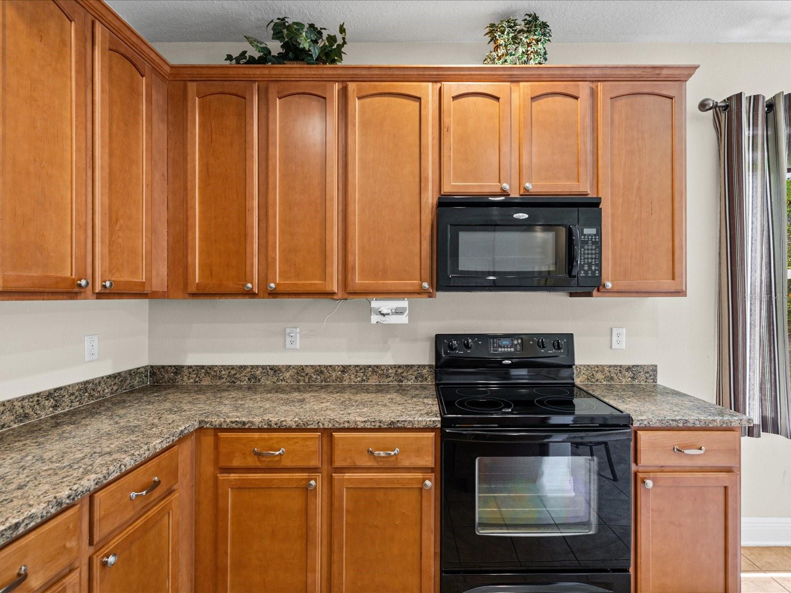 11448 MERGANSER WAY, NEW PORT RICHEY, FL, 34654