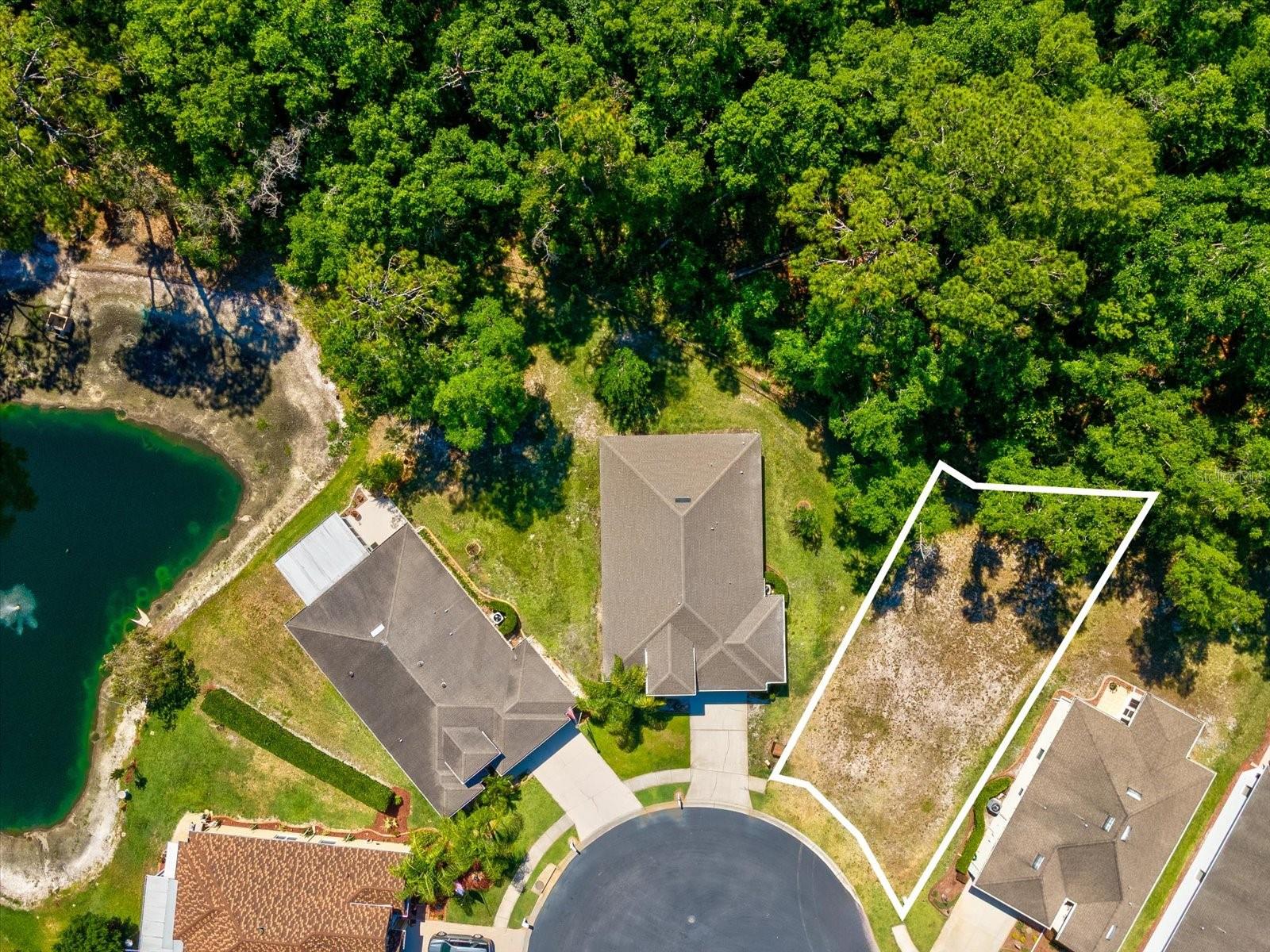 11444 MERGANSER WAY, NEW PORT RICHEY, FL, 34654