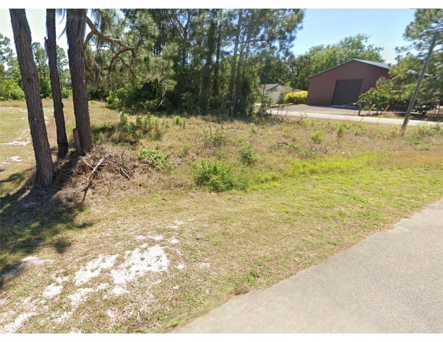 217 GLORIA BLVD, LAKE PLACID, FL, 33852