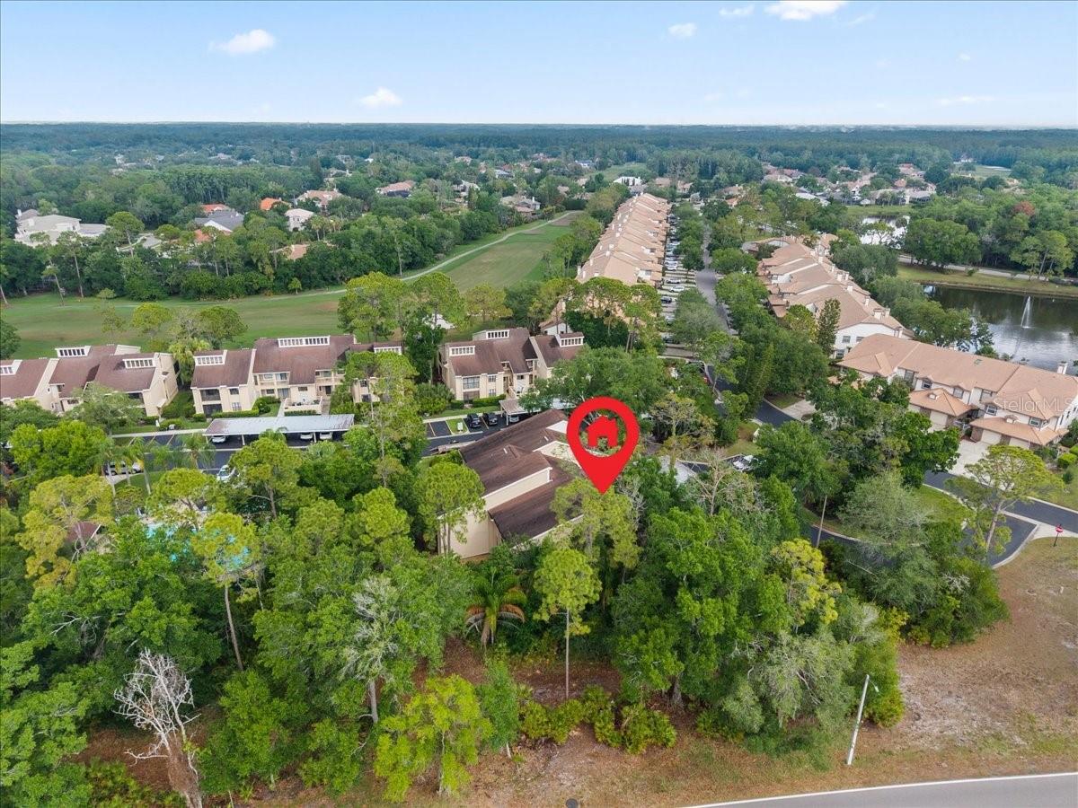 10 SHAMROCK WAY #10, OLDSMAR, FL, 34677