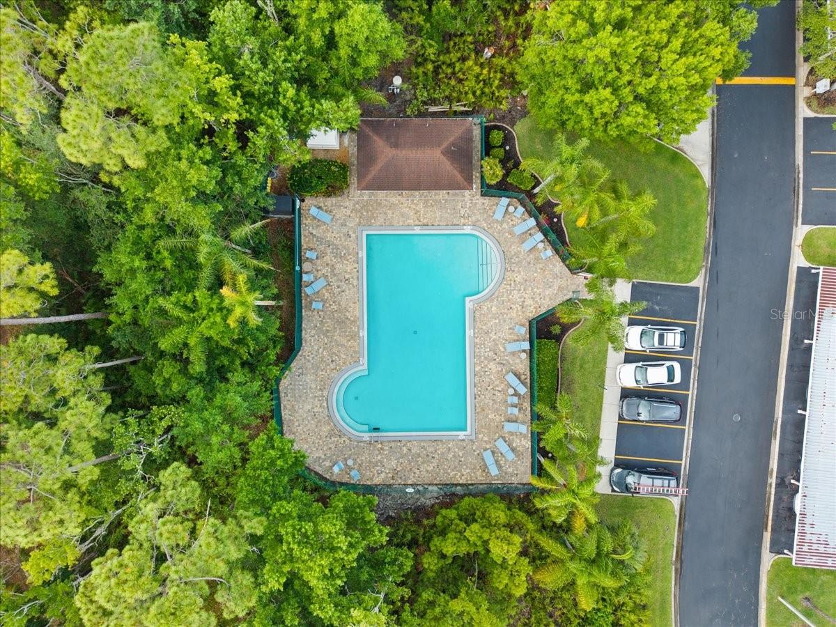 10 SHAMROCK WAY #10, OLDSMAR, FL, 34677